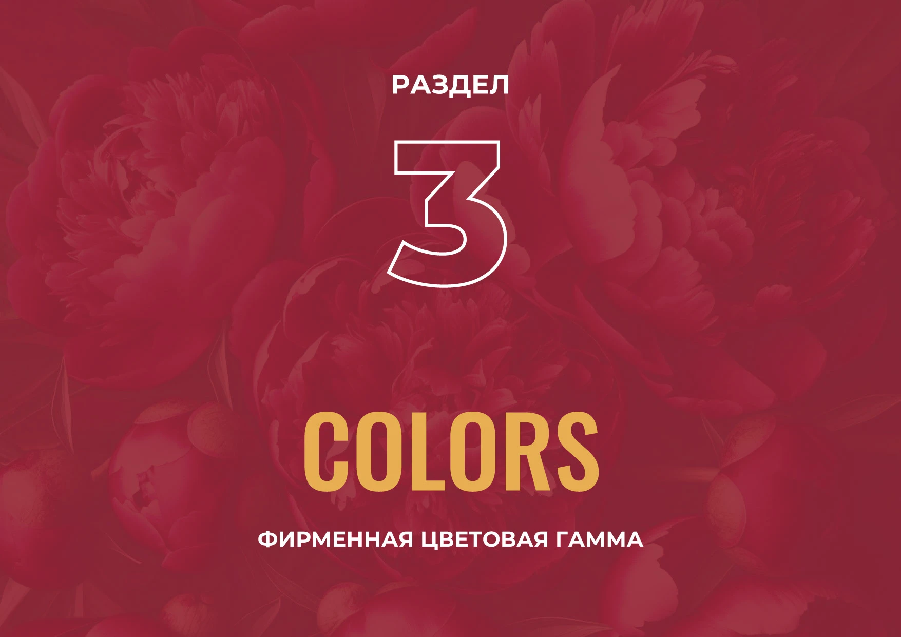 Логотип Брендинг Айдентика Дизайн этикетки Косметики — Изображение №13 — Брендинг на Dprofile