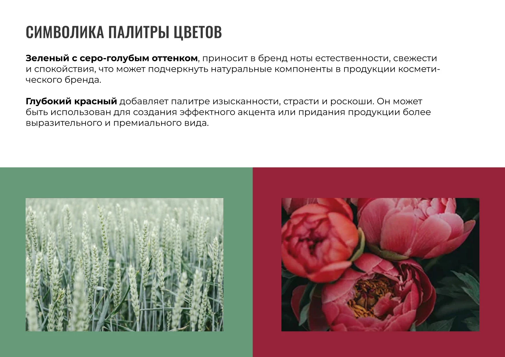 Логотип Брендинг Айдентика Дизайн этикетки Косметики — Изображение №14 — Брендинг на Dprofile