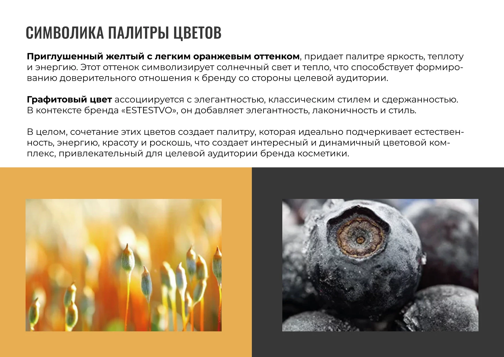 Логотип Брендинг Айдентика Дизайн этикетки Косметики — Изображение №15 — Брендинг на Dprofile