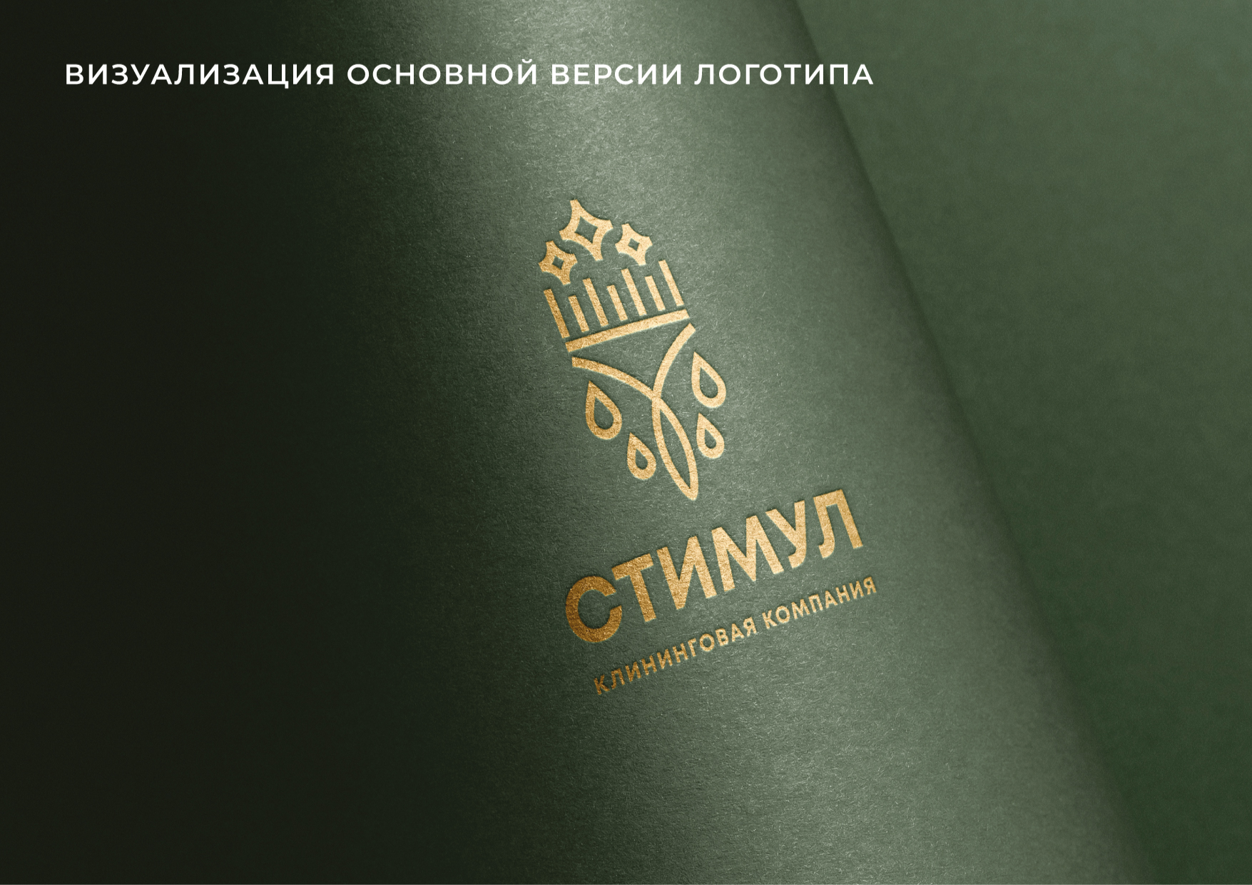 ЛОГОТИП, ФИРМЕННЫЙ СТИЛЬ для Клининговой компании — Изображение №7 — Брендинг на Dprofile