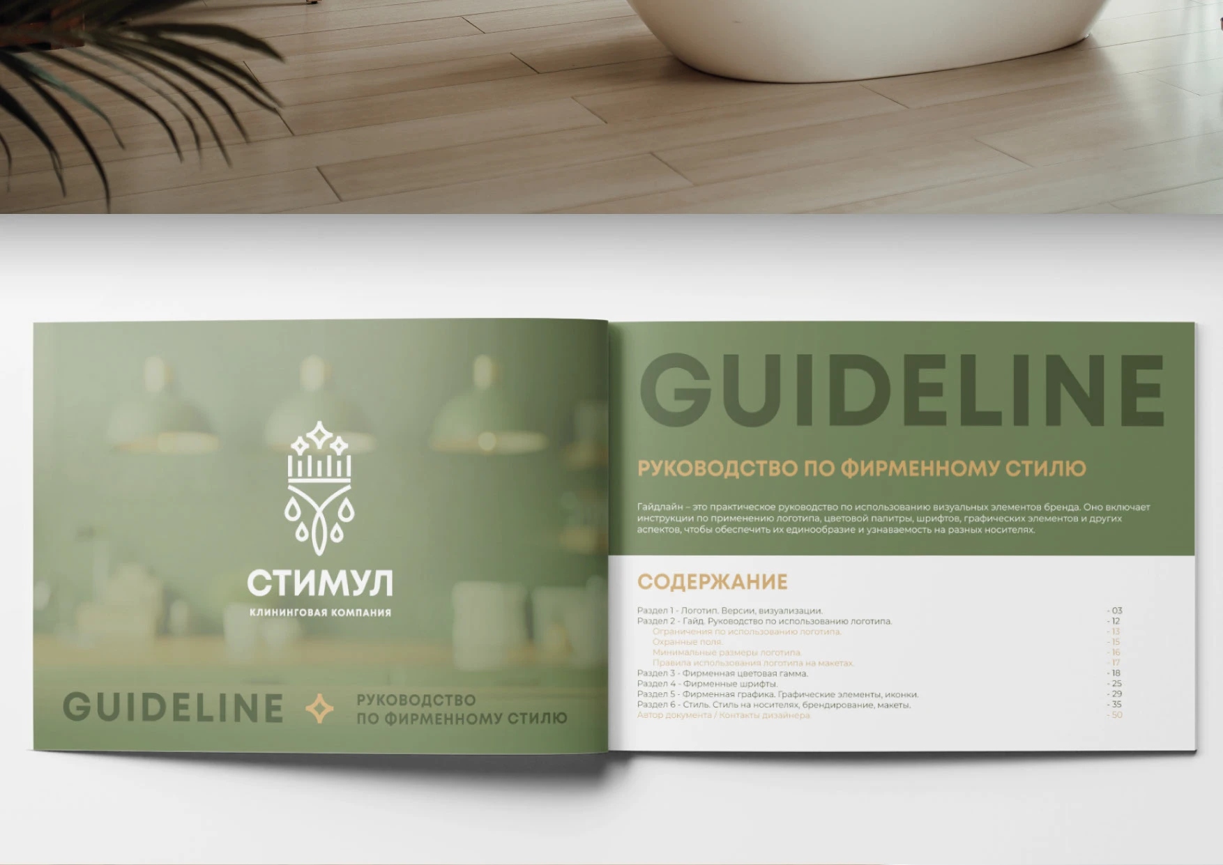 ЛОГОТИП, ФИРМЕННЫЙ СТИЛЬ для Клининговой компании — Изображение №2 — Брендинг на Dprofile