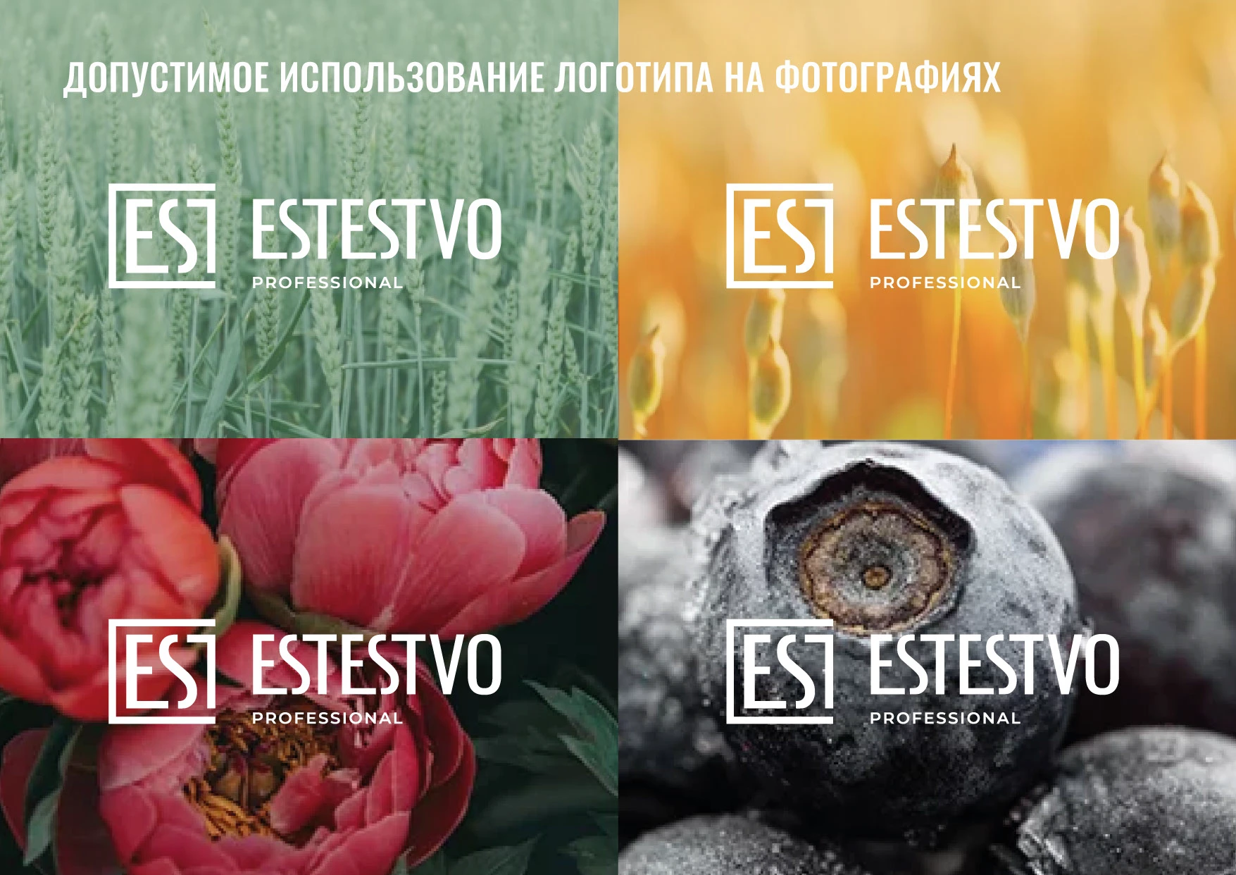 Логотип Брендинг Айдентика Дизайн этикетки Косметики — Изображение №19 — Брендинг на Dprofile