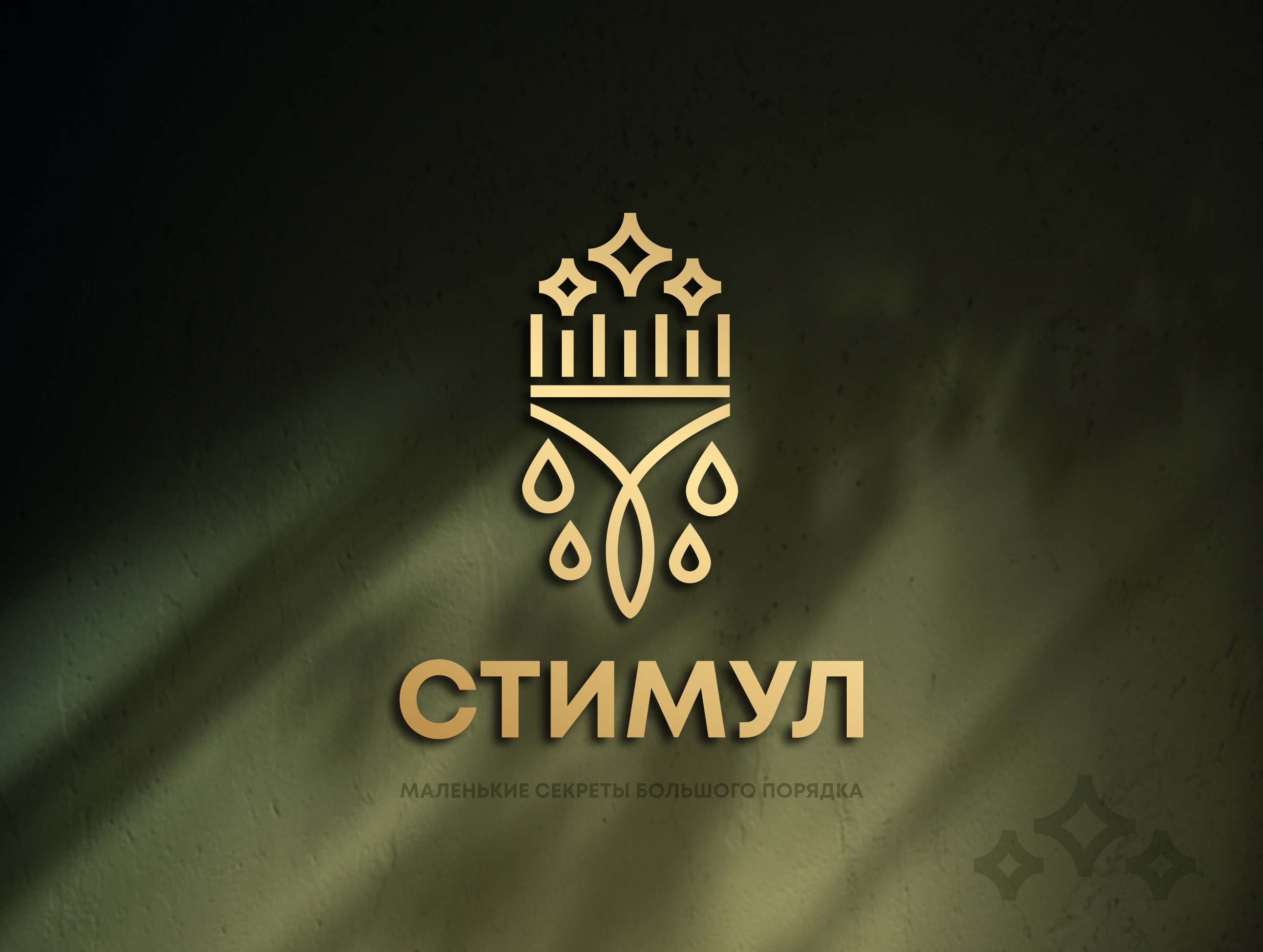 ЛОГОТИП, ФИРМЕННЫЙ СТИЛЬ для Клининговой компании — Изображение №1 — Брендинг на Dprofile