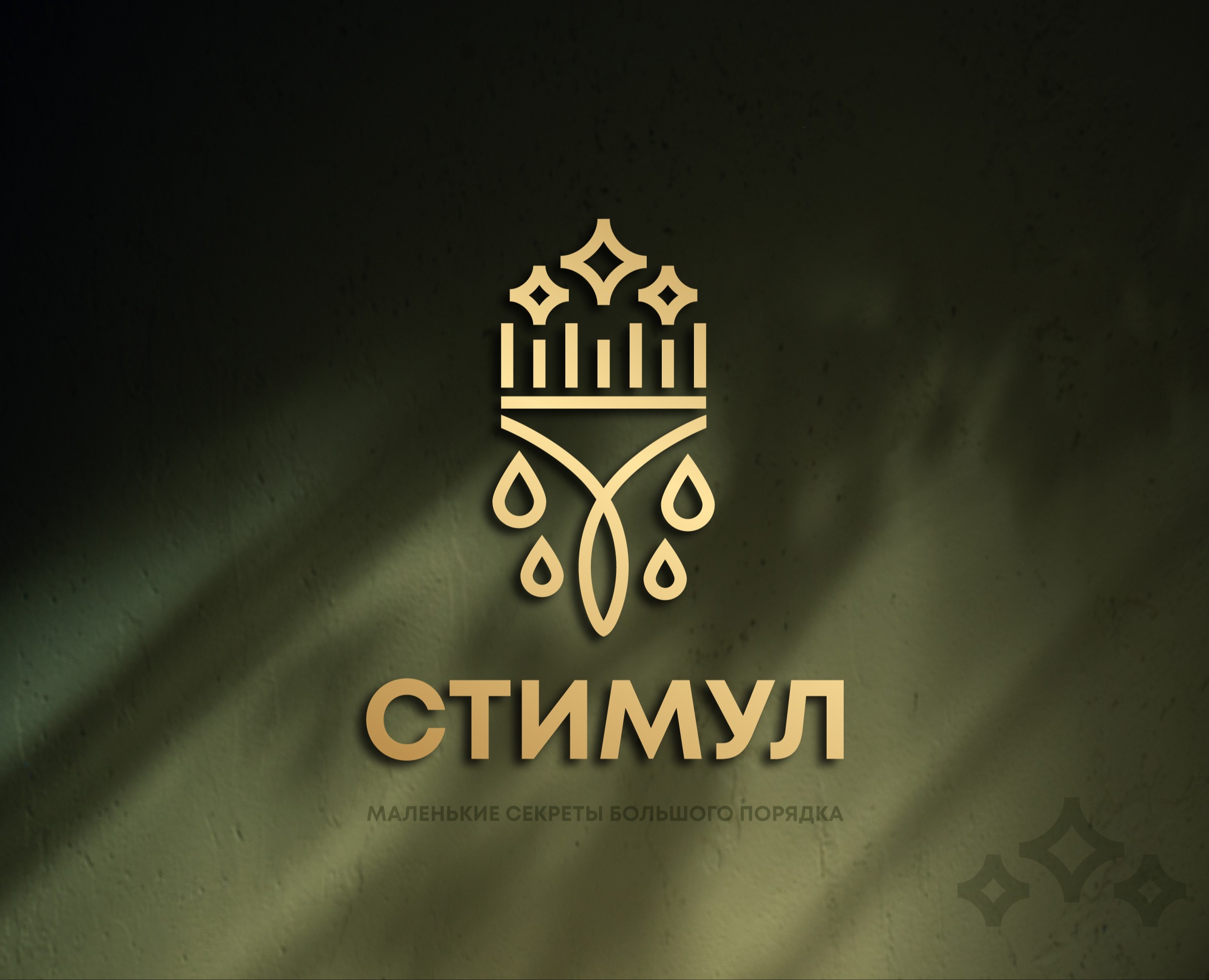 ЛОГОТИП, ФИРМЕННЫЙ СТИЛЬ для Клининговой компании на Dprofile