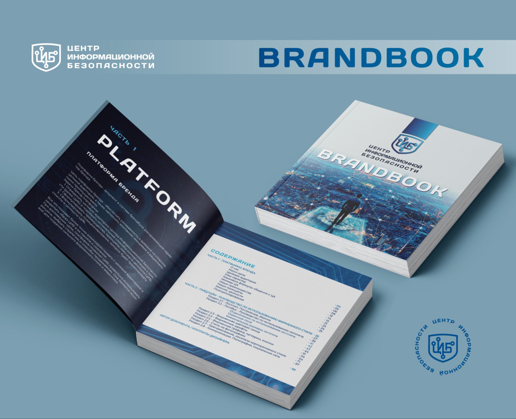 БРЕНДБУК для ЦИБ (Платформа, Логотип, Фир.стиль, Гайд) — Брендинг, Графика на Dprofile