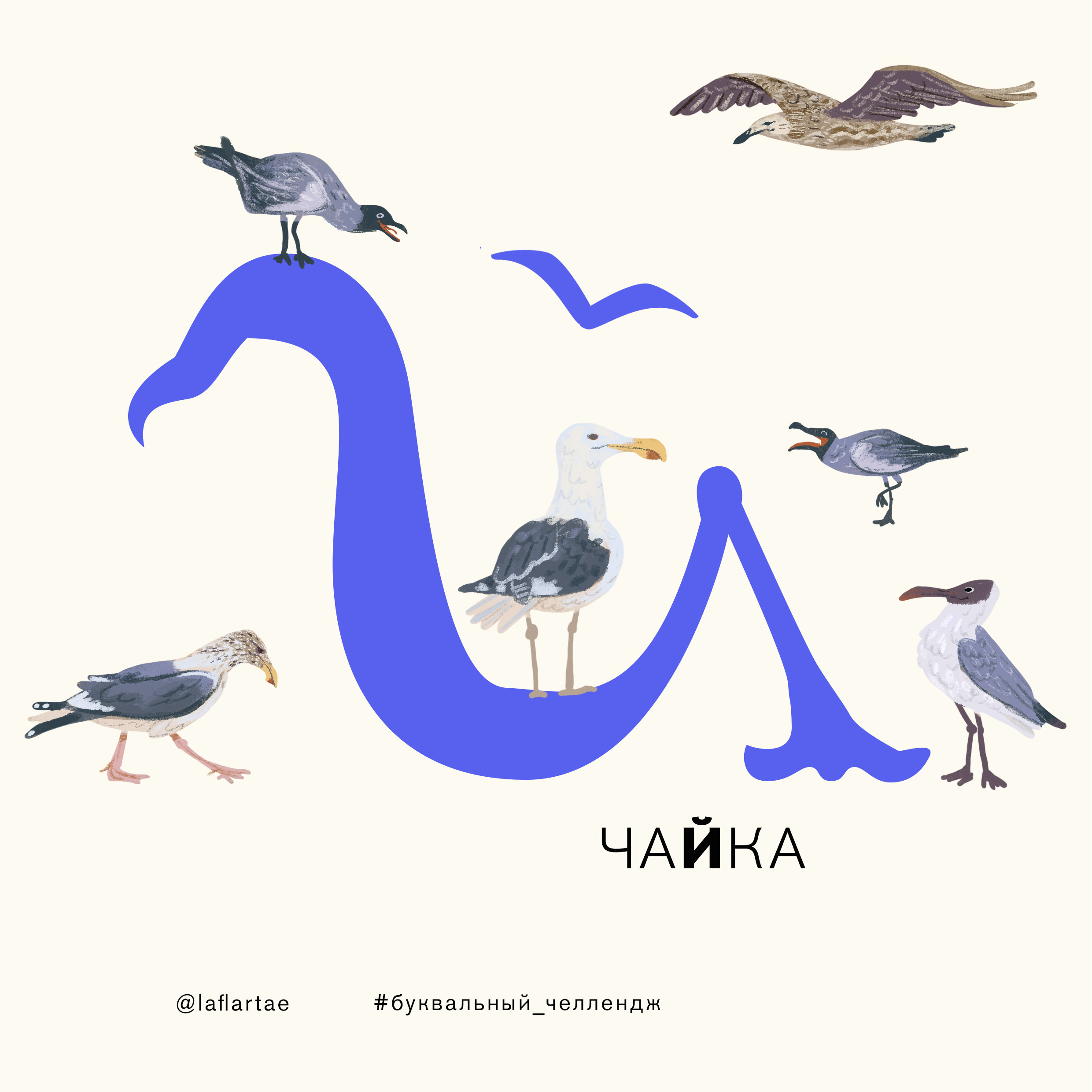 «Азбука орнитолога»_иллюстрированный алфавит | бквч — Изображение №13 — Иллюстрация, Графика на Dprofile