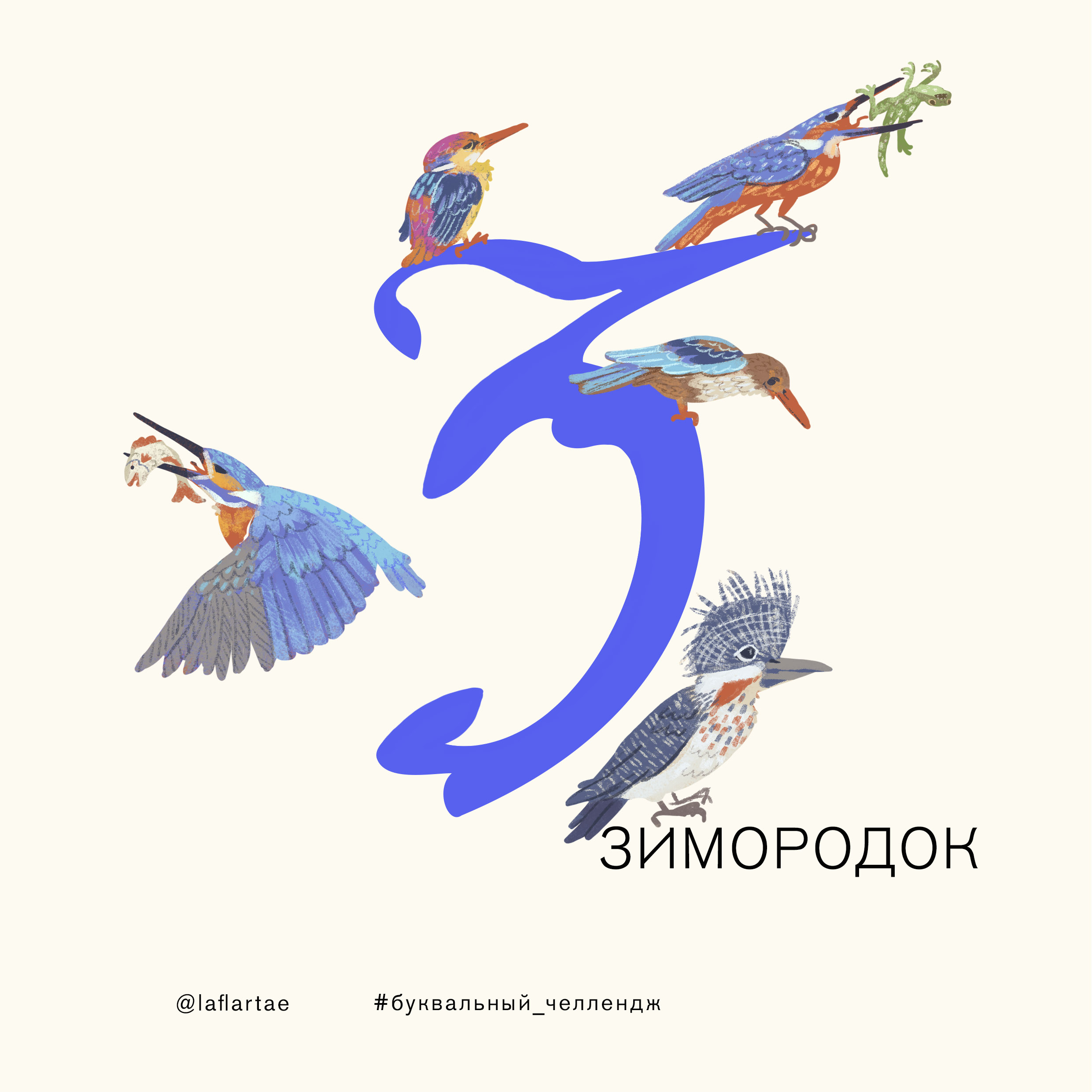 «Азбука орнитолога»_иллюстрированный алфавит | бквч — Изображение №11 — Иллюстрация, Графика на Dprofile