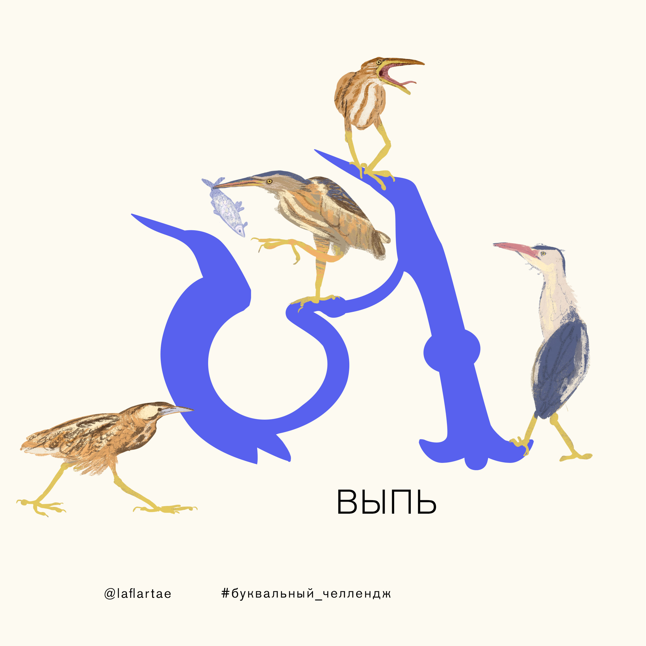 «Азбука орнитолога»_иллюстрированный алфавит | бквч — Изображение №31 — Иллюстрация, Графика на Dprofile