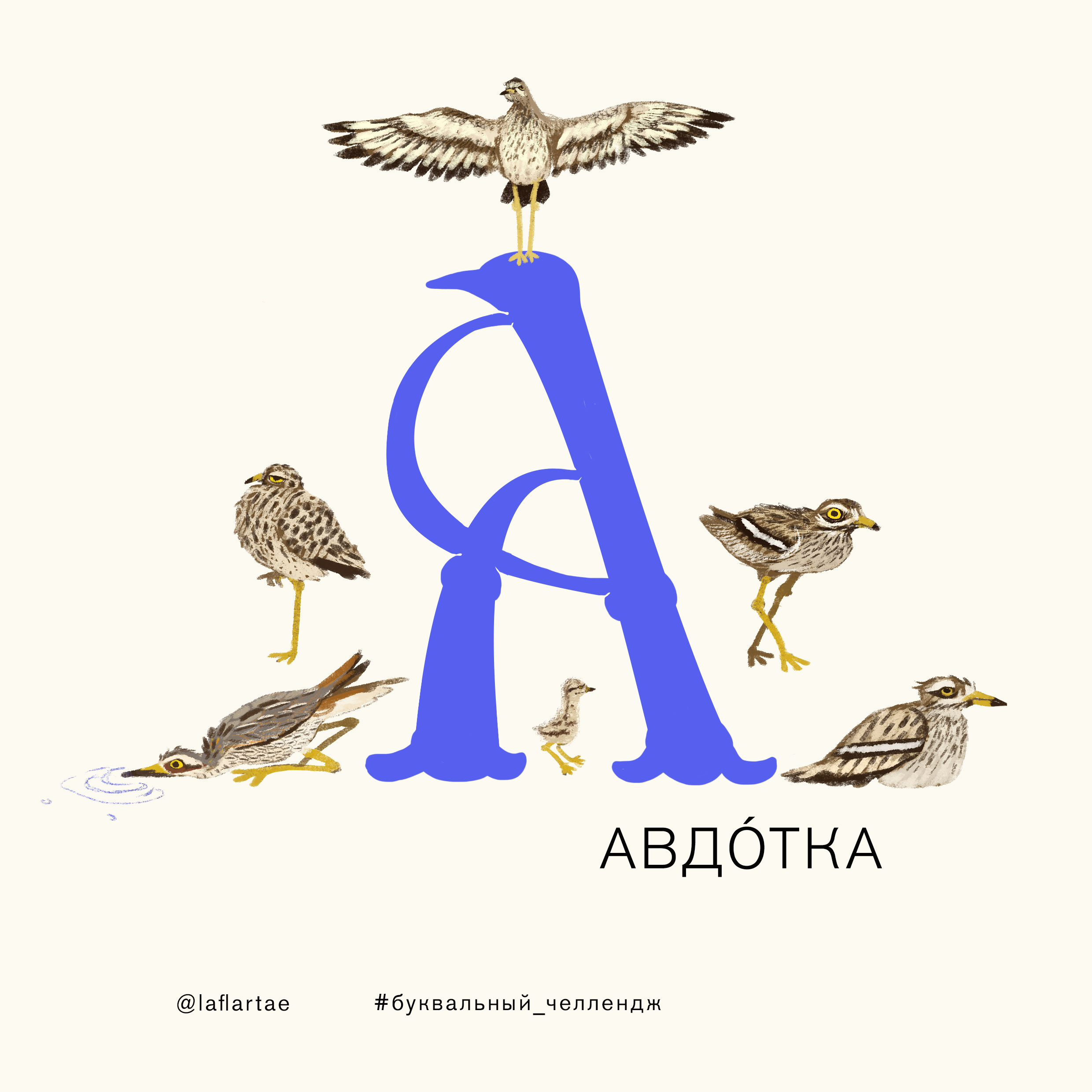 «Азбука орнитолога»_иллюстрированный алфавит | бквч — Изображение №3 — Иллюстрация, Графика на Dprofile
