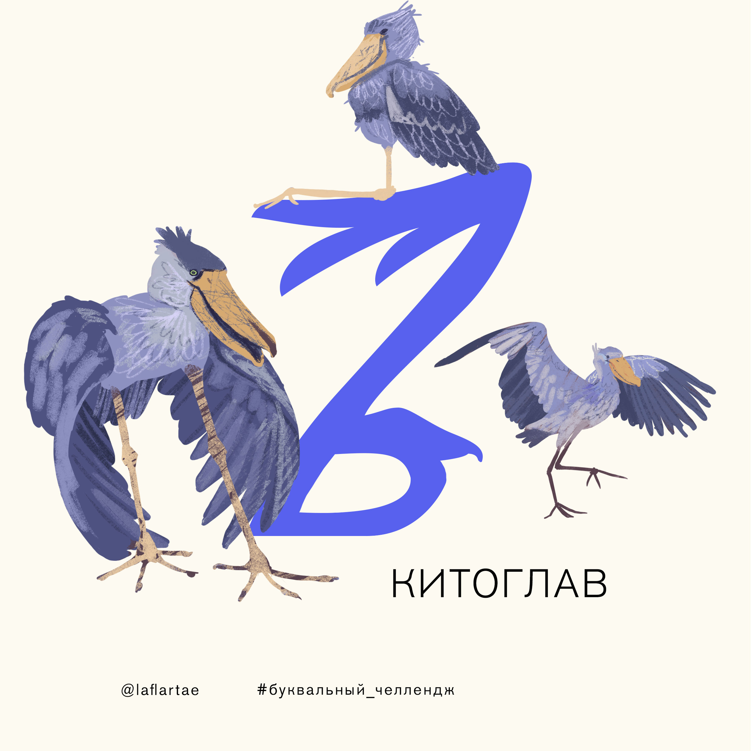 «Азбука орнитолога»_иллюстрированный алфавит | бквч — Изображение №30 — Иллюстрация, Графика на Dprofile