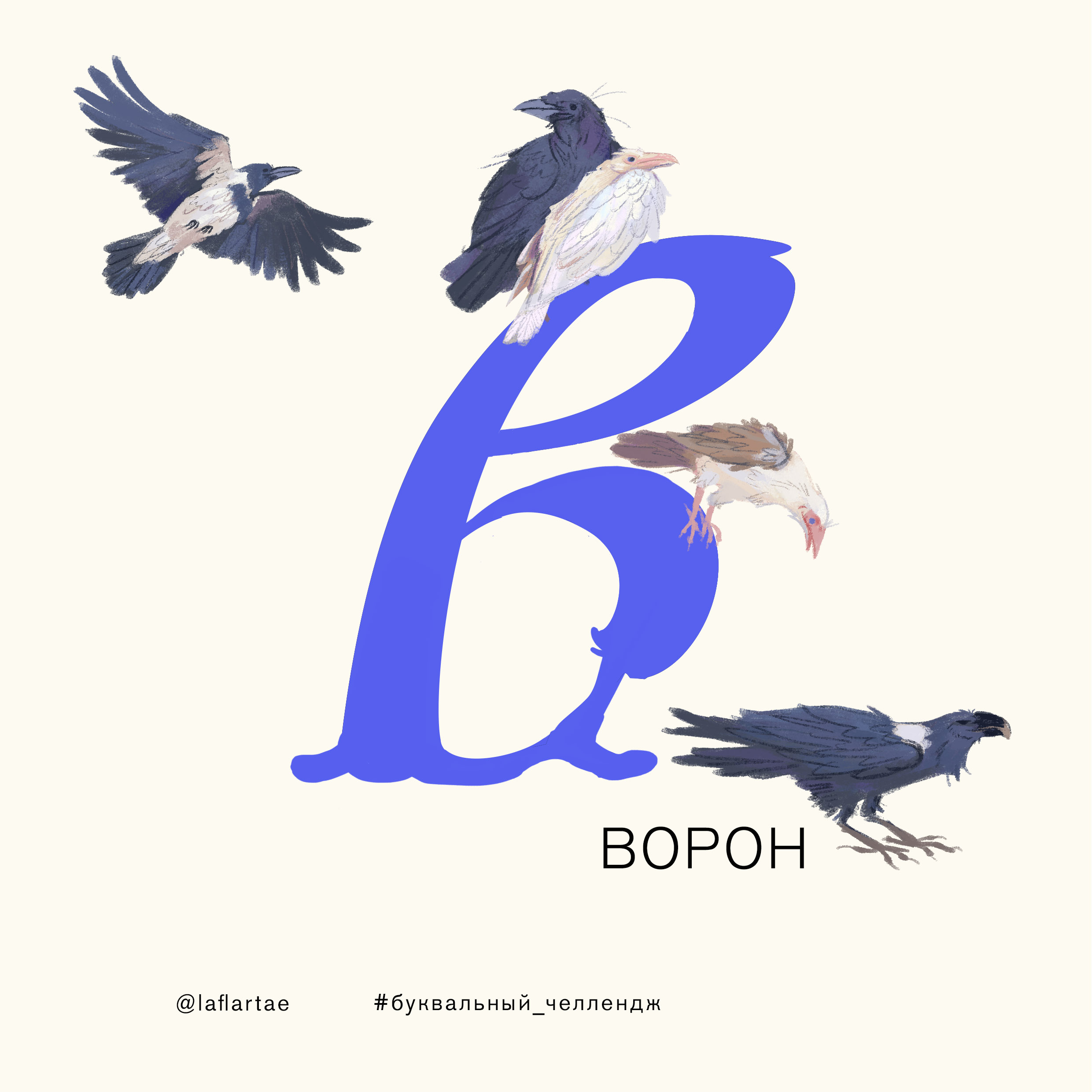 «Азбука орнитолога»_иллюстрированный алфавит | бквч — Изображение №5 — Иллюстрация, Графика на Dprofile