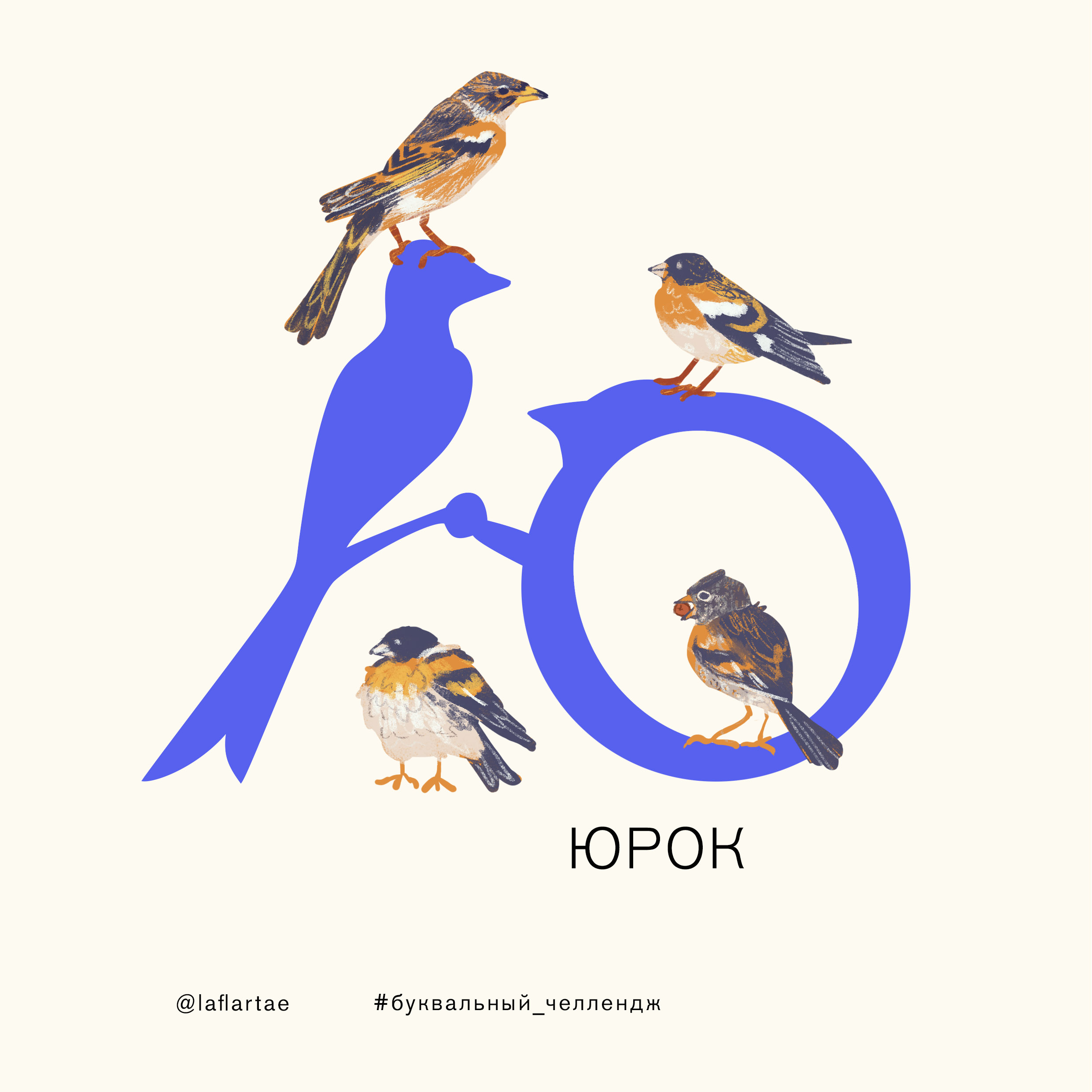 «Азбука орнитолога»_иллюстрированный алфавит | бквч — Изображение №34 — Иллюстрация, Графика на Dprofile
