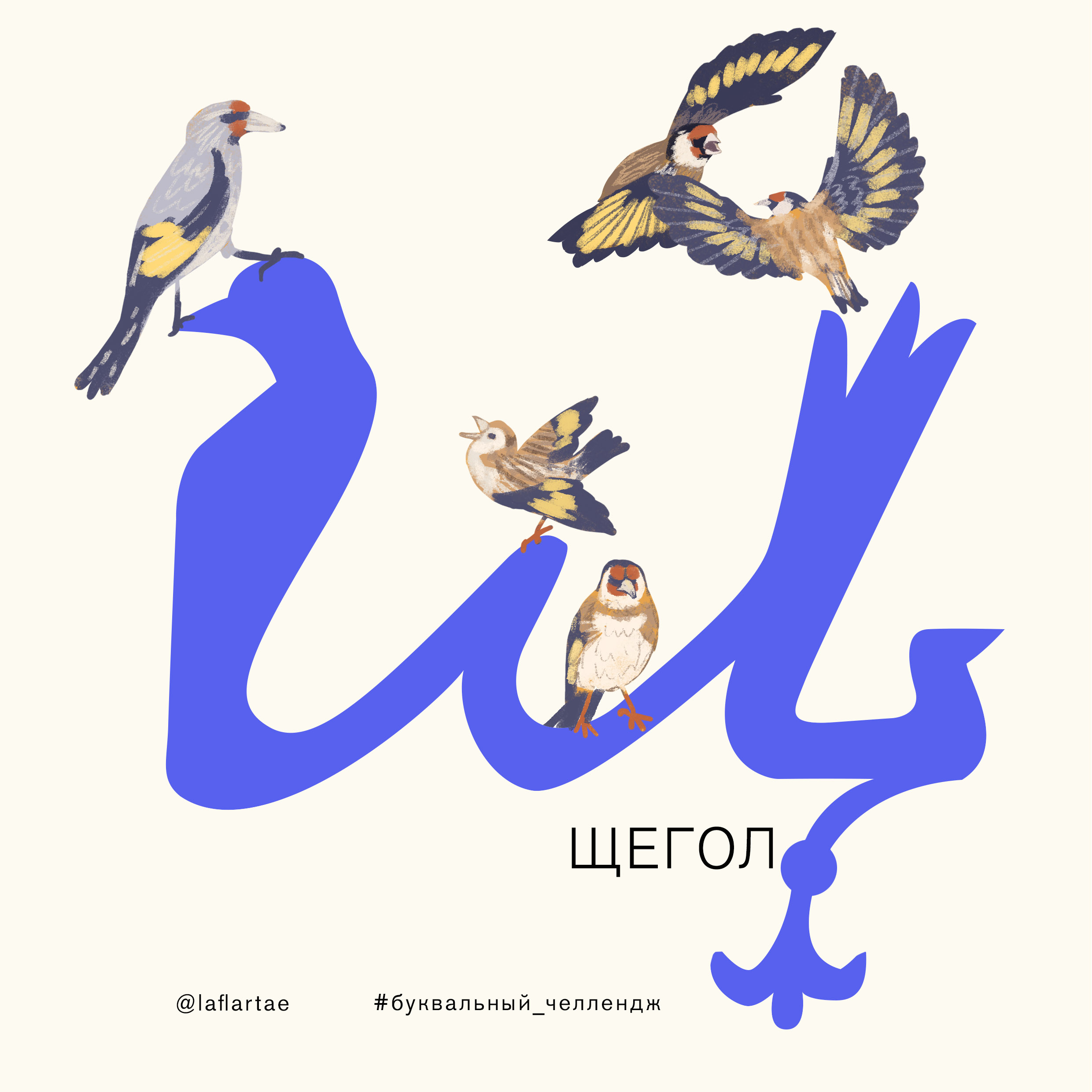 «Азбука орнитолога»_иллюстрированный алфавит | бквч — Изображение №29 — Иллюстрация, Графика на Dprofile