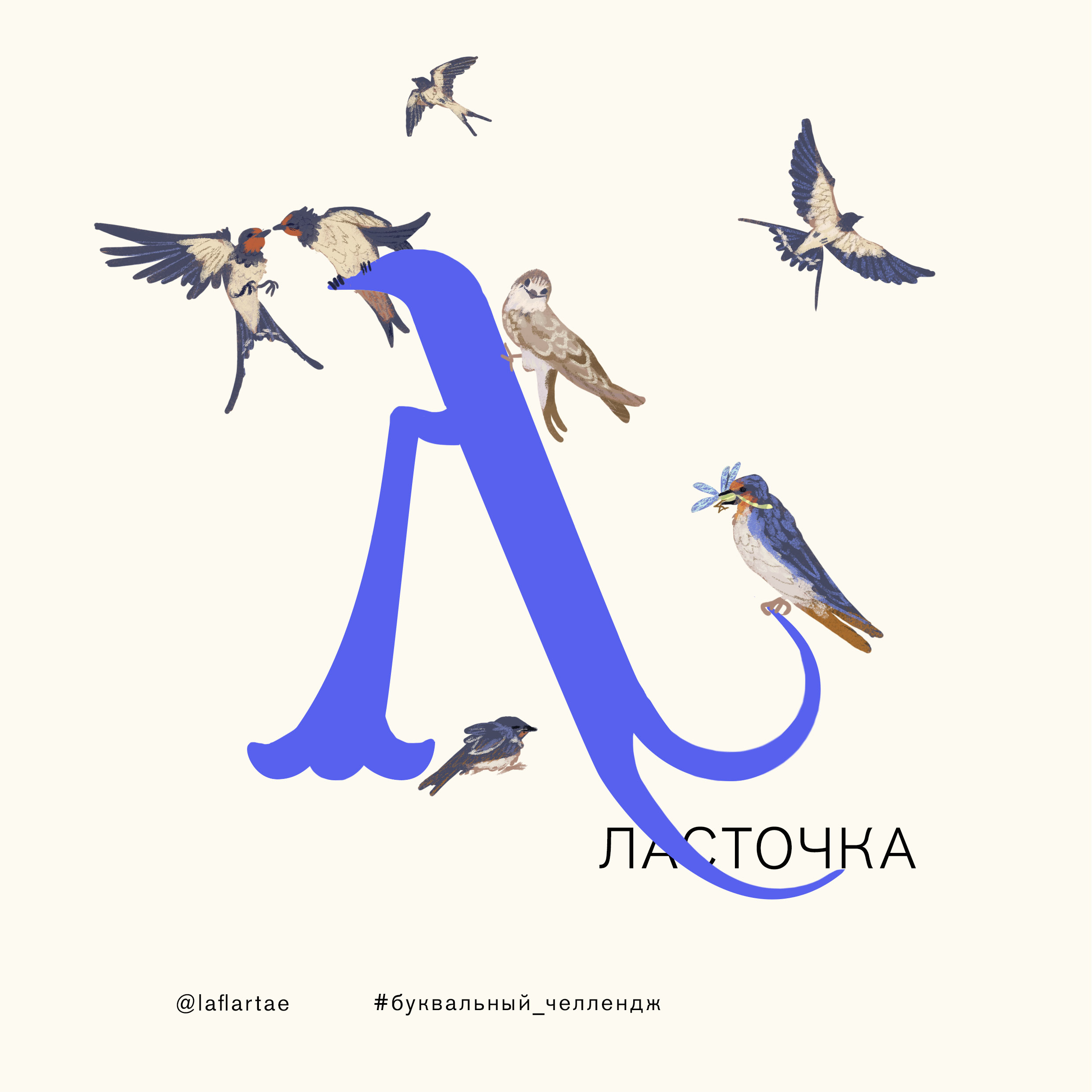 «Азбука орнитолога»_иллюстрированный алфавит | бквч — Изображение №15 — Иллюстрация, Графика на Dprofile