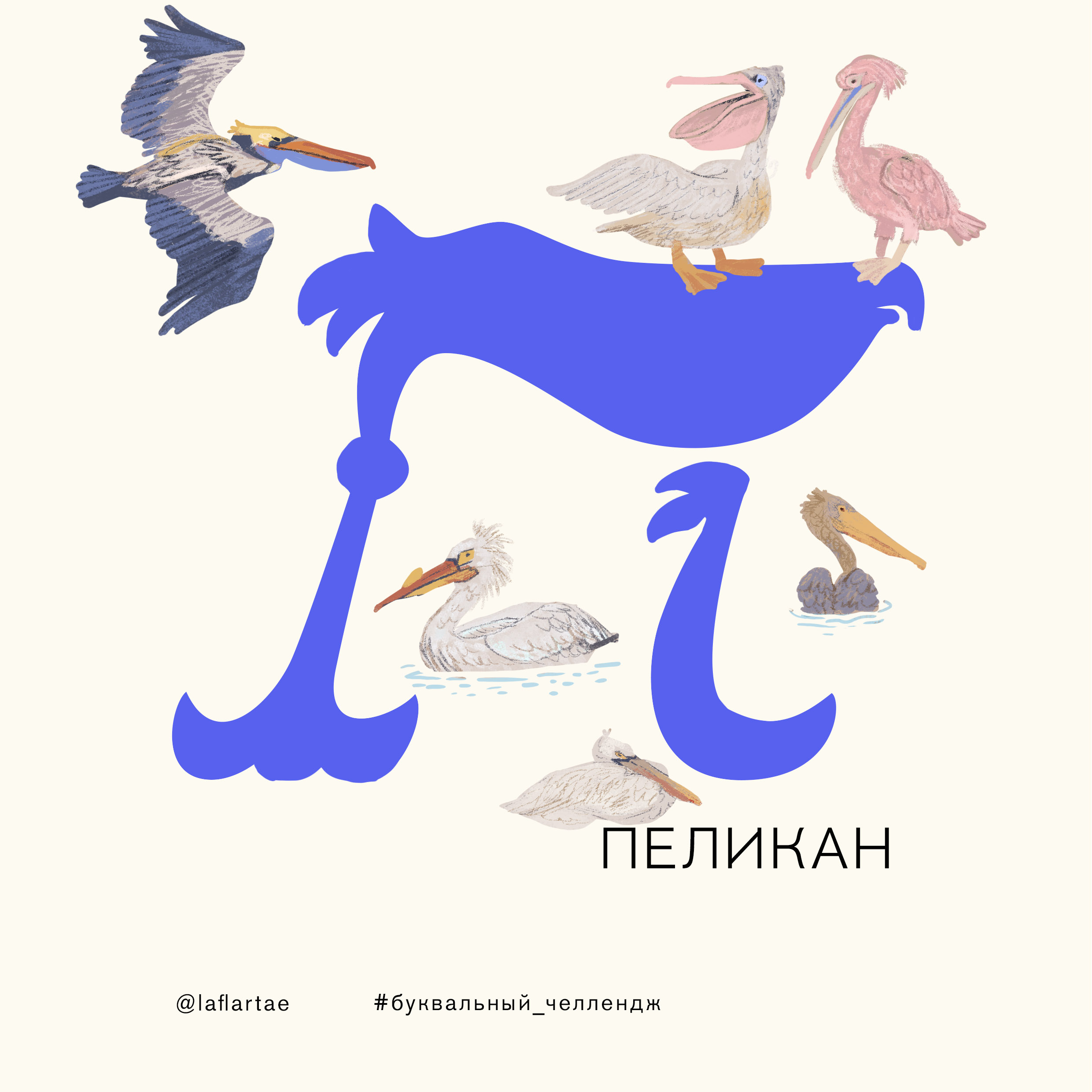 «Азбука орнитолога»_иллюстрированный алфавит | бквч — Изображение №19 — Иллюстрация, Графика на Dprofile