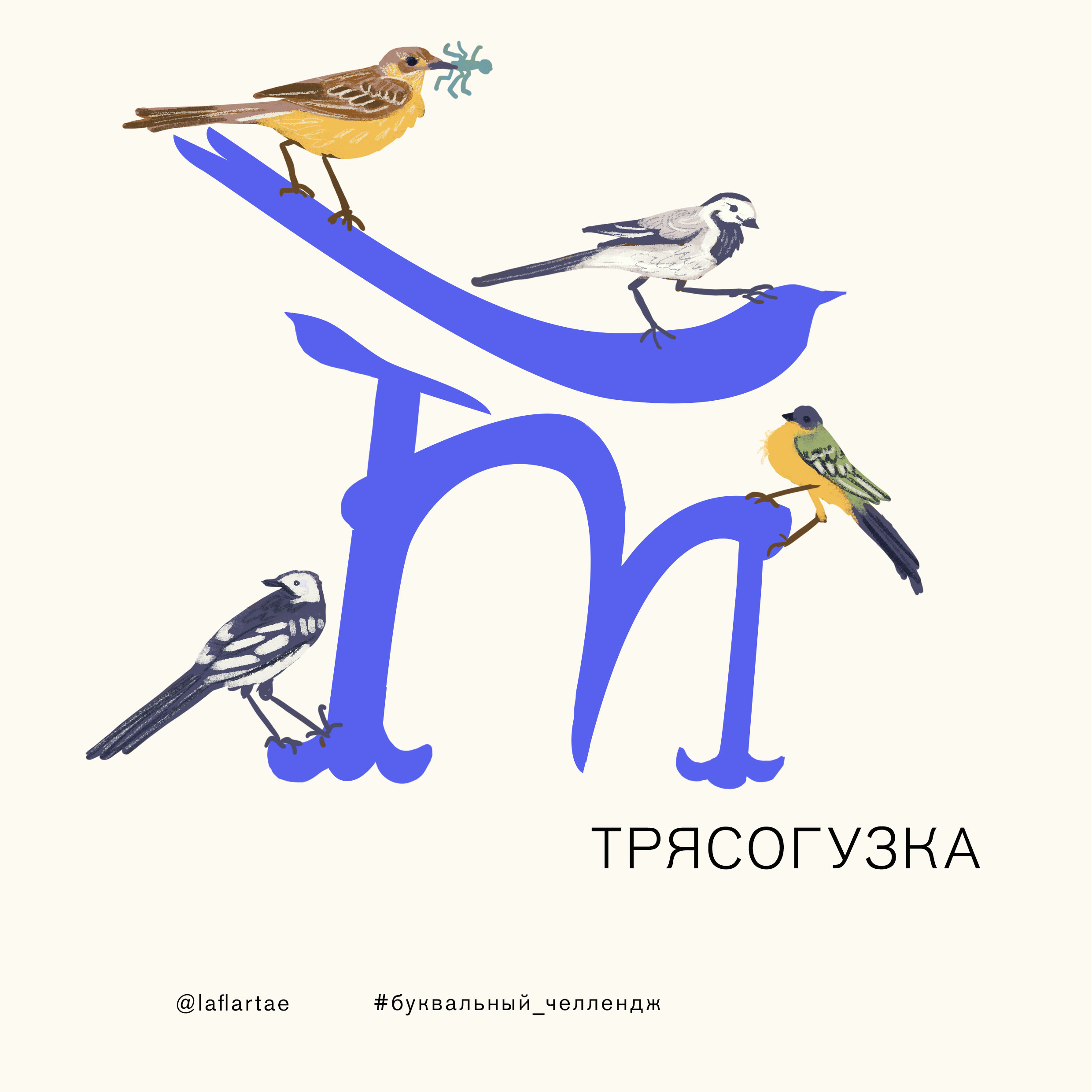 «Азбука орнитолога»_иллюстрированный алфавит | бквч — Изображение №22 — Иллюстрация, Графика на Dprofile