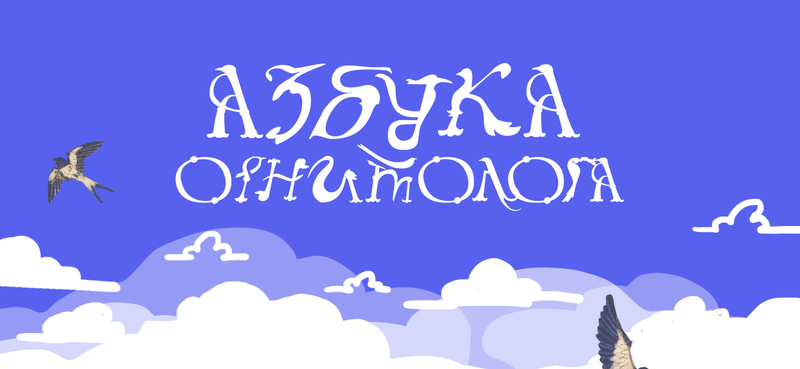 «Азбука орнитолога»_иллюстрированный алфавит | бквч — Изображение №1 — Иллюстрация, Графика на Dprofile