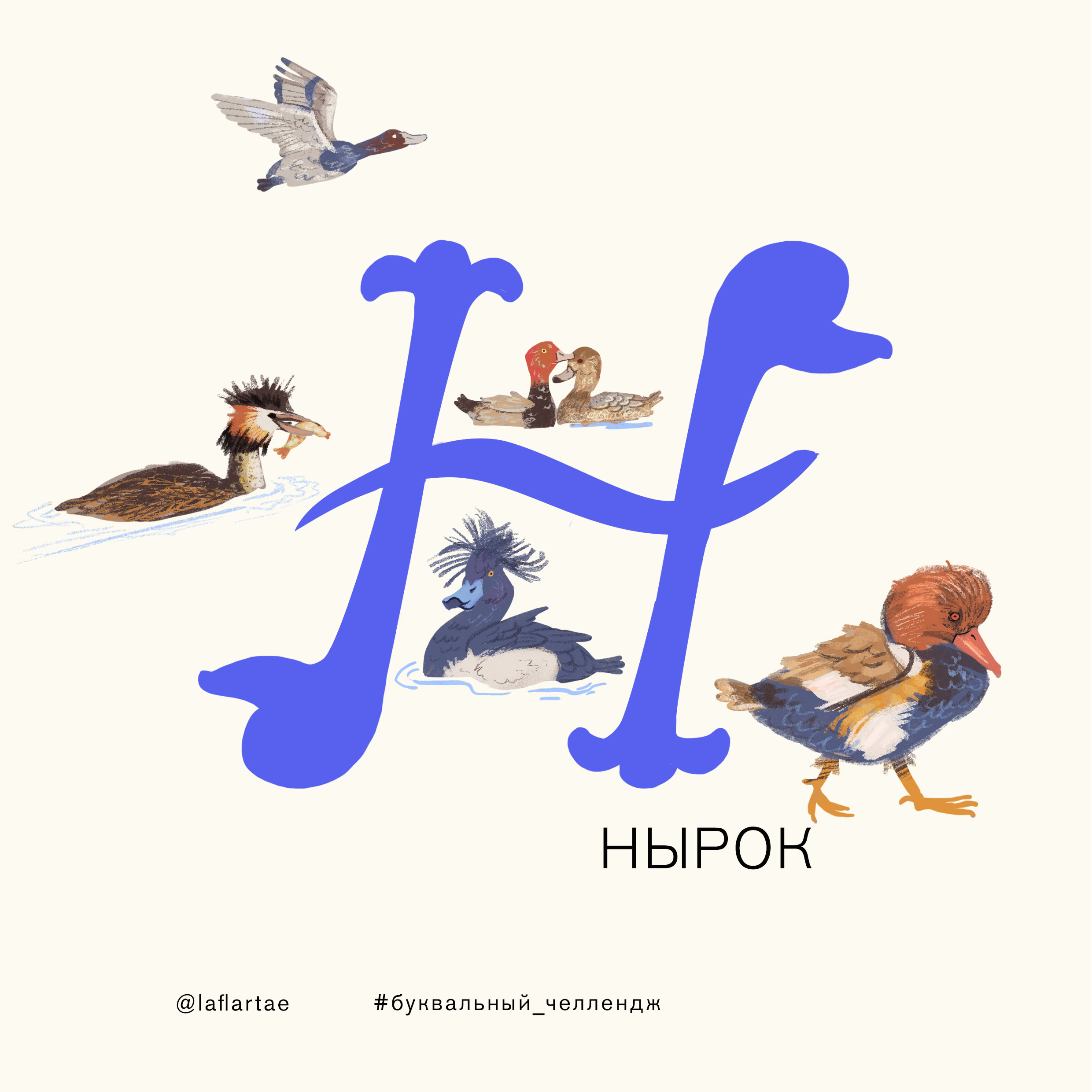 «Азбука орнитолога»_иллюстрированный алфавит | бквч — Изображение №17 — Иллюстрация, Графика на Dprofile