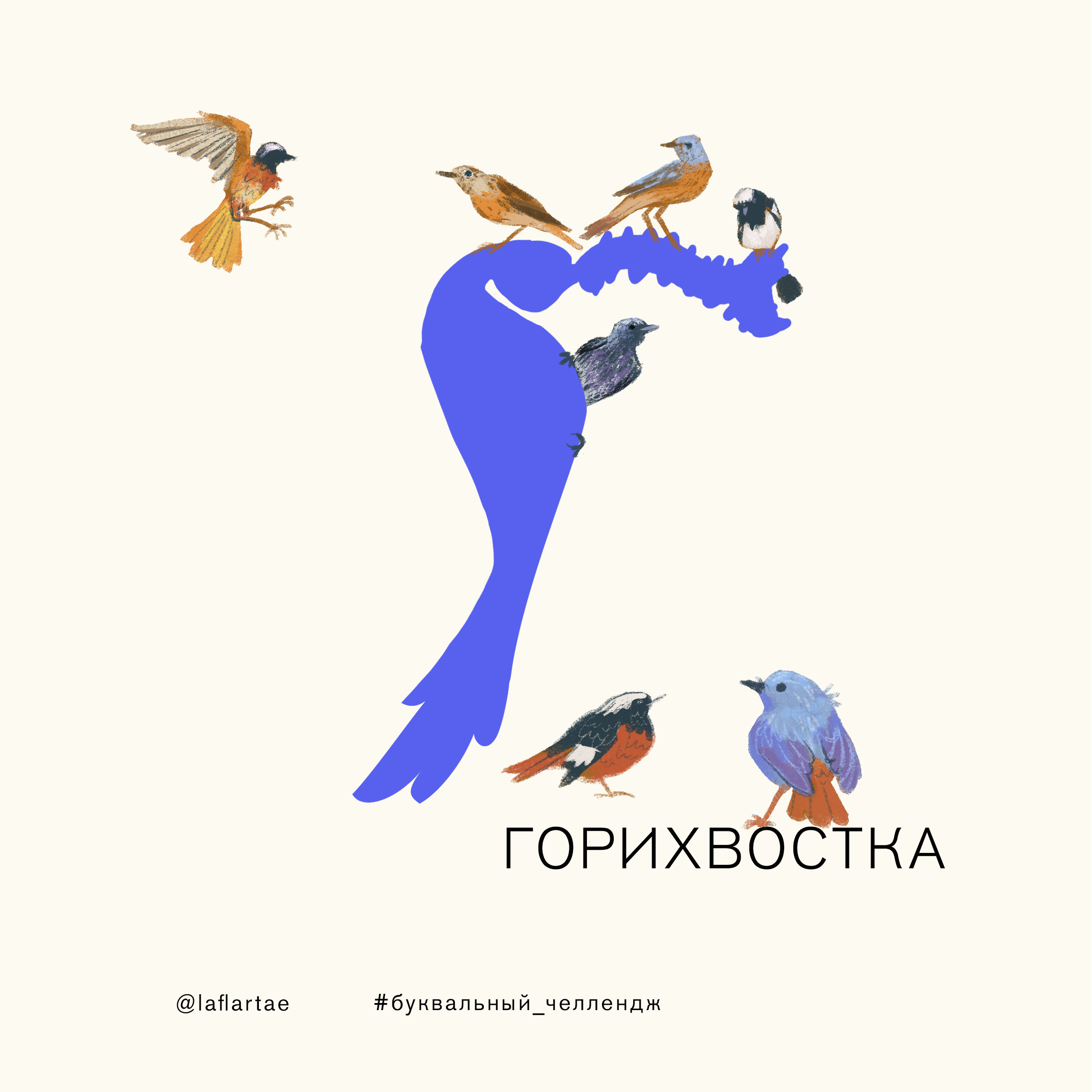 «Азбука орнитолога»_иллюстрированный алфавит | бквч — Изображение №6 — Иллюстрация, Графика на Dprofile