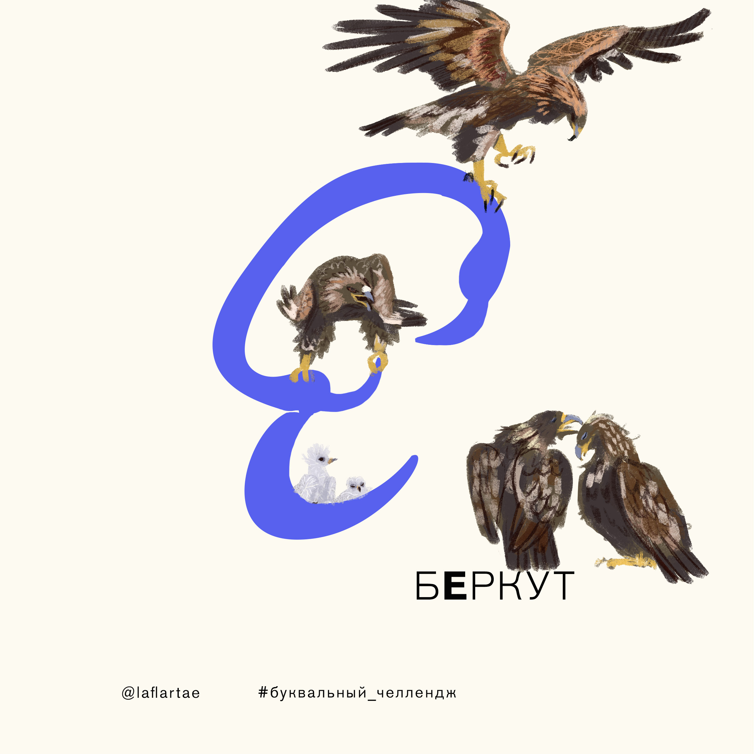 «Азбука орнитолога»_иллюстрированный алфавит | бквч — Изображение №8 — Иллюстрация, Графика на Dprofile