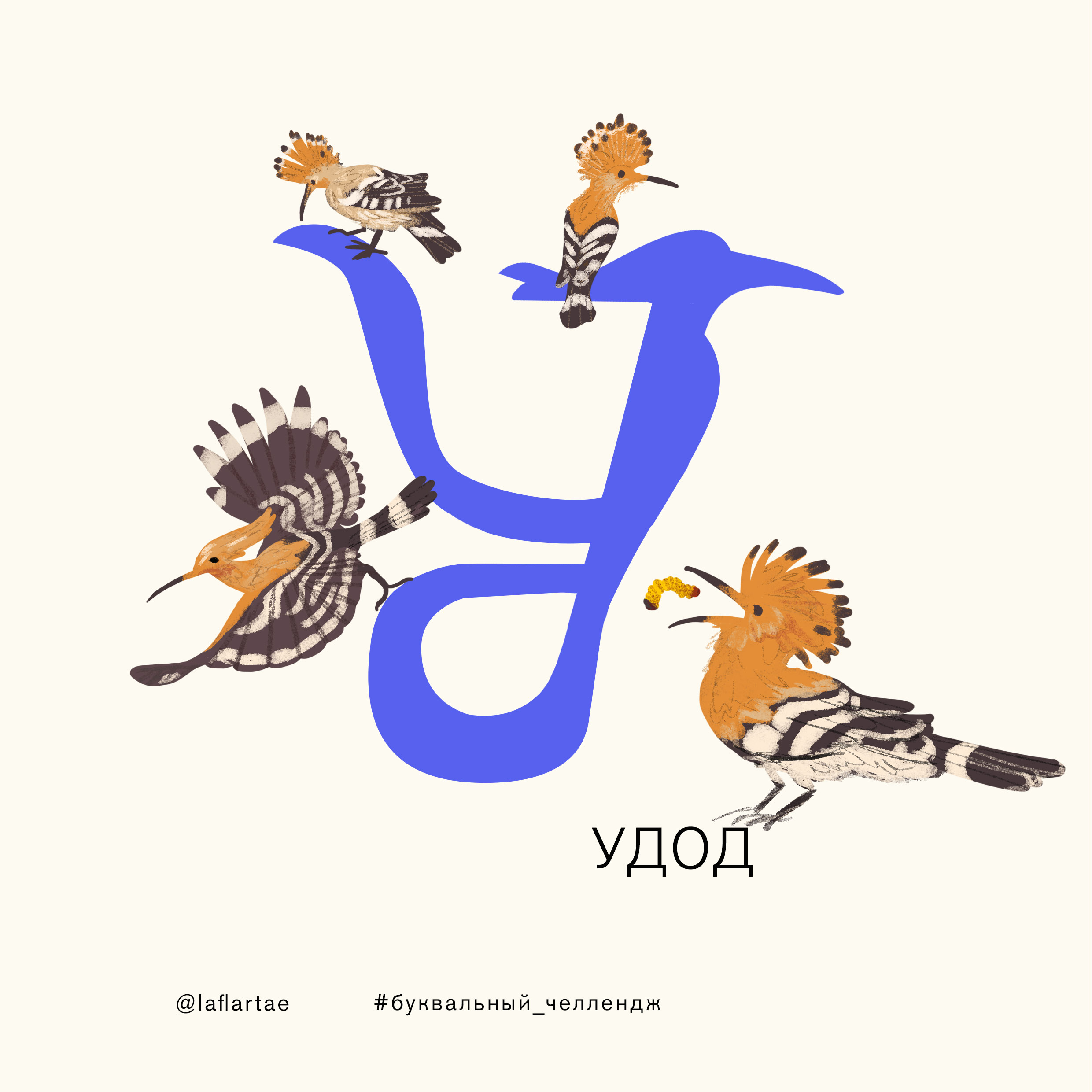 «Азбука орнитолога»_иллюстрированный алфавит | бквч — Изображение №23 — Иллюстрация, Графика на Dprofile