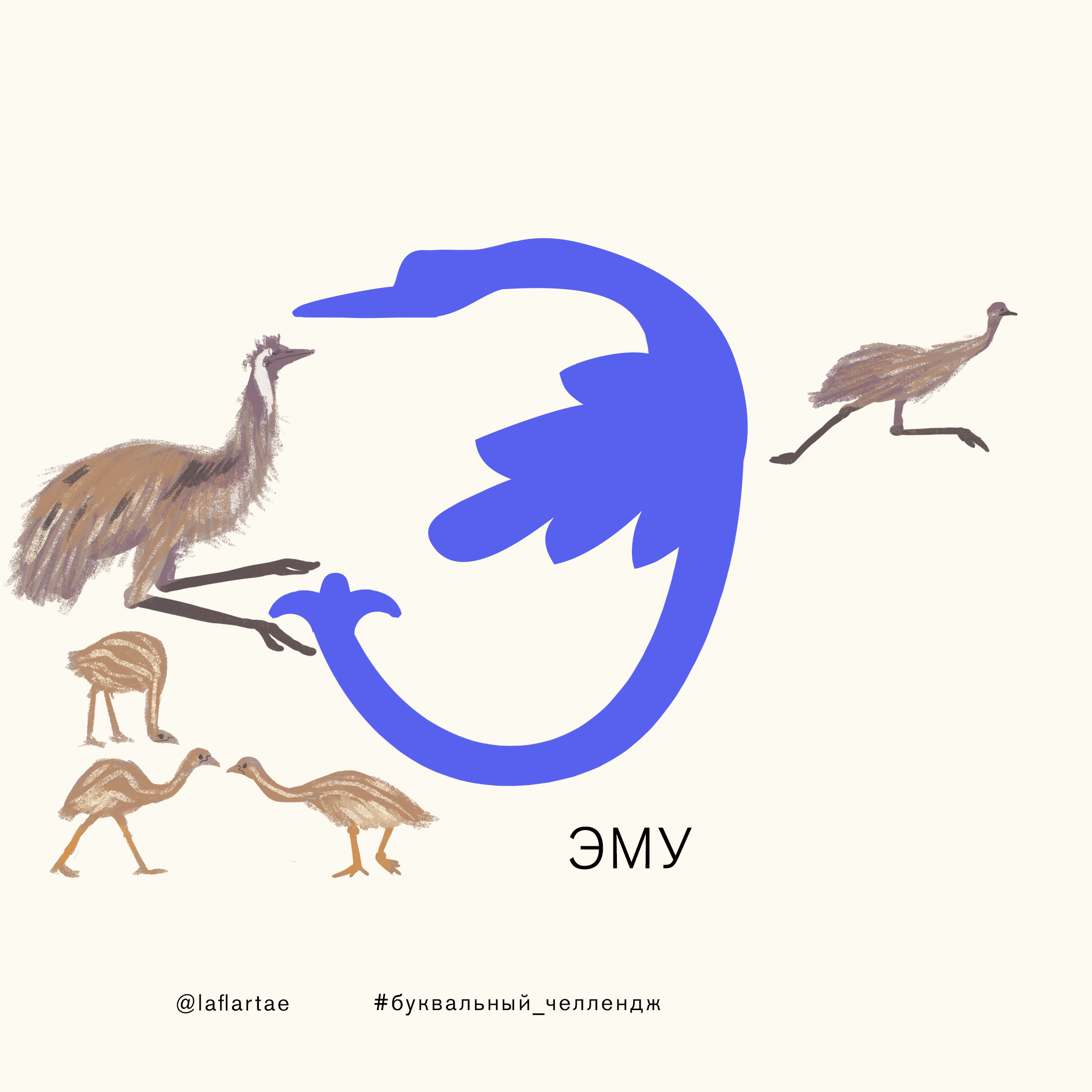 «Азбука орнитолога»_иллюстрированный алфавит | бквч — Изображение №33 — Иллюстрация, Графика на Dprofile