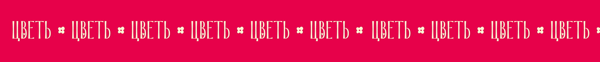 Брендинг | Лавка полевых цветов — Изображение №4 — Интерфейсы, Брендинг на Dprofile