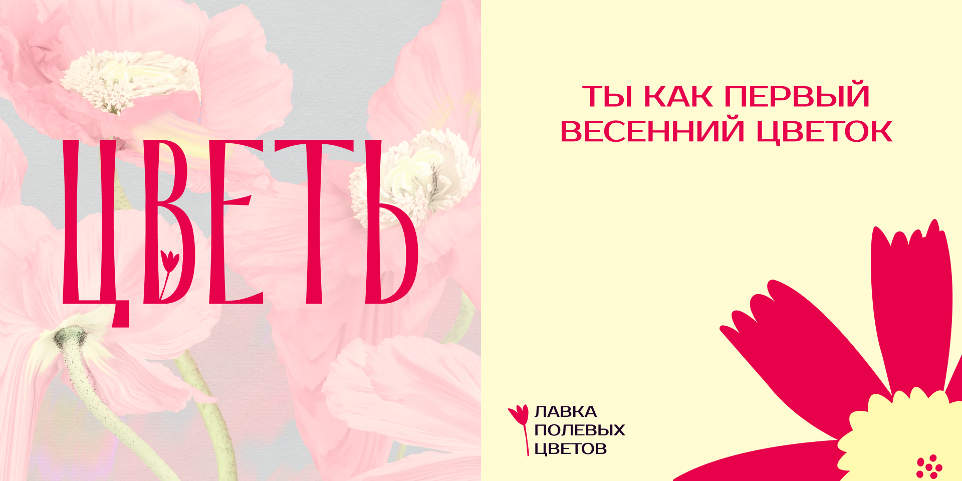 Брендинг | Лавка полевых цветов — Изображение №5 — Интерфейсы, Брендинг на Dprofile