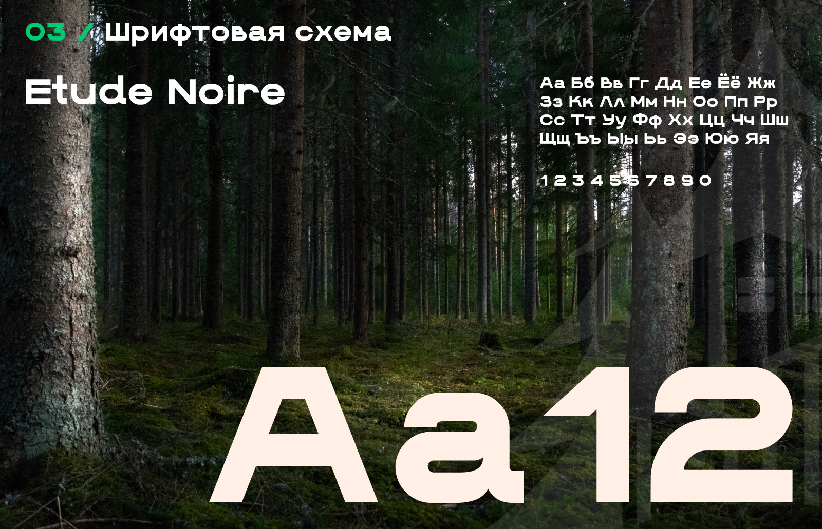 Фирменный стиль Пермского городского лесничества — Изображение №5 — Брендинг на Dprofile