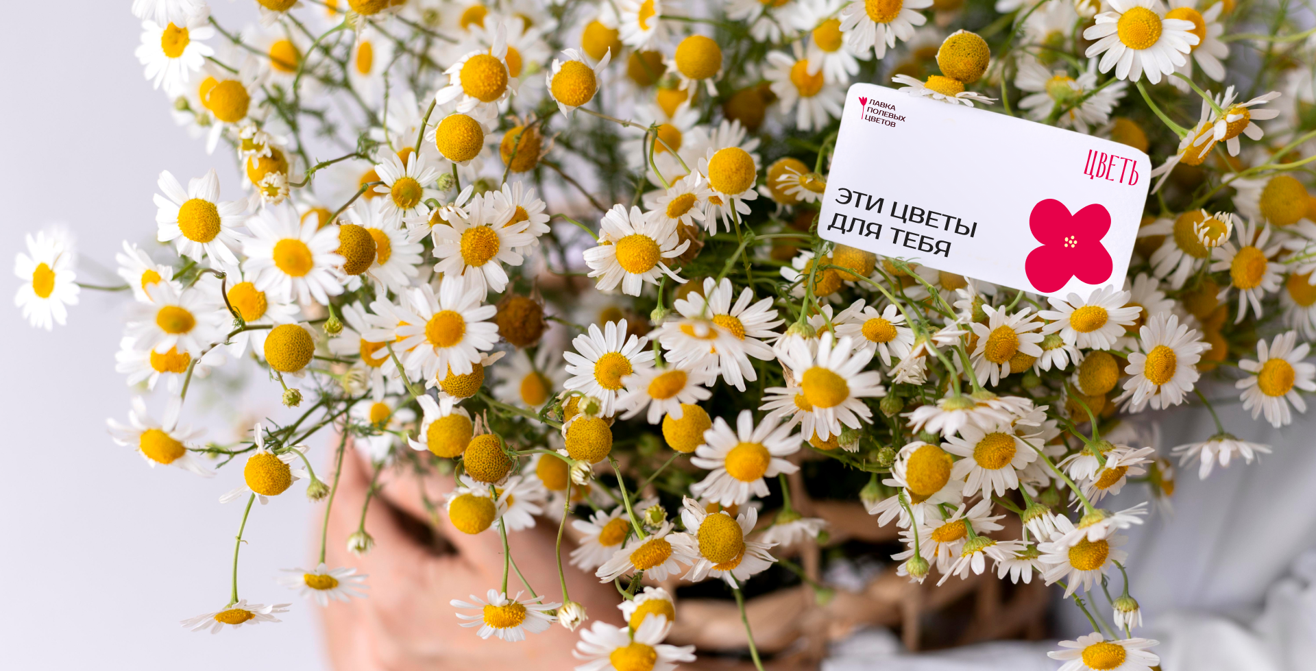 Брендинг | Лавка полевых цветов — Изображение №8 — Интерфейсы, Брендинг на Dprofile