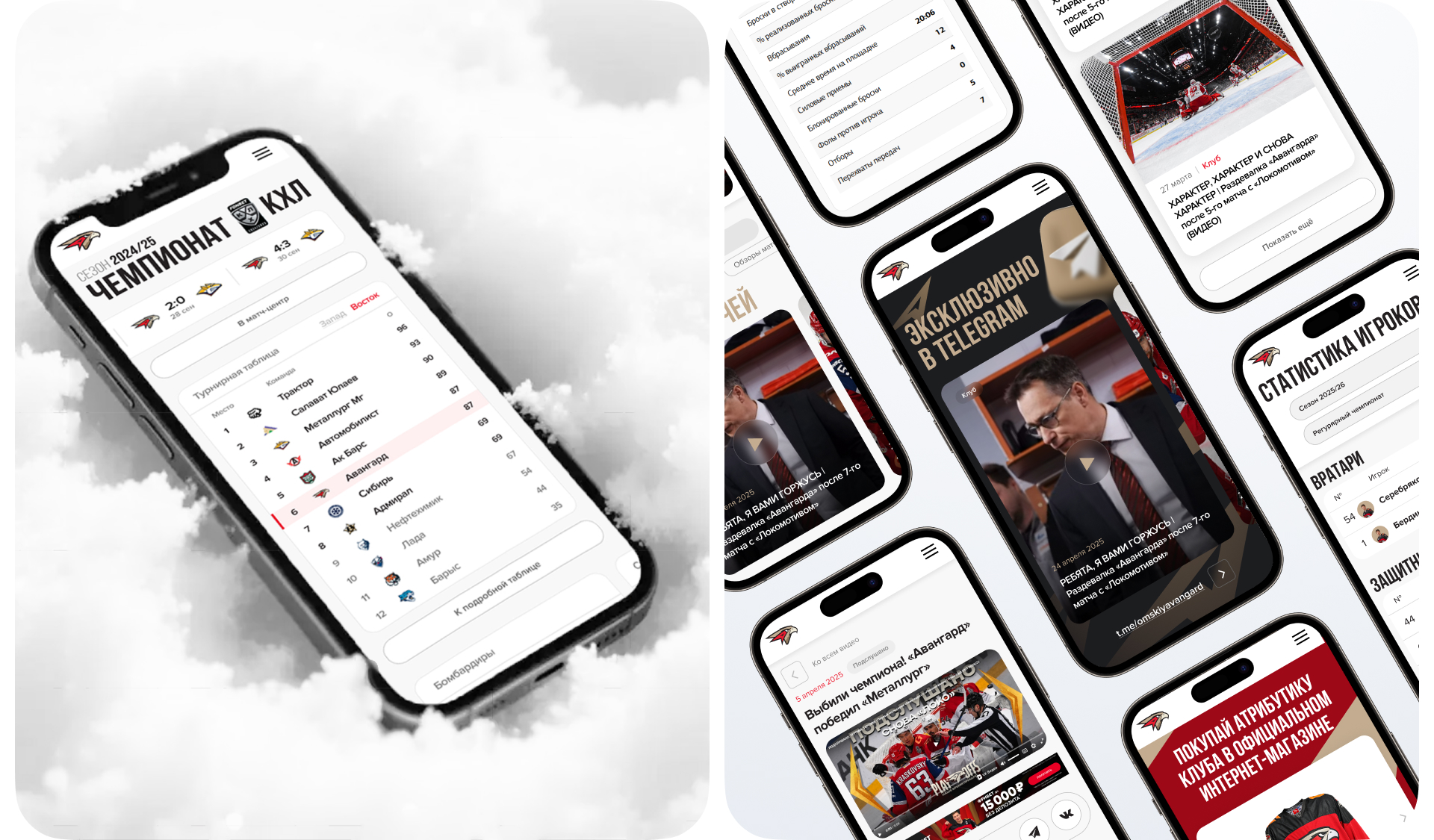 Редизайн сайта ХК "Авангард" (КХЛ) — Изображение №13 — Интерфейсы на Dprofile