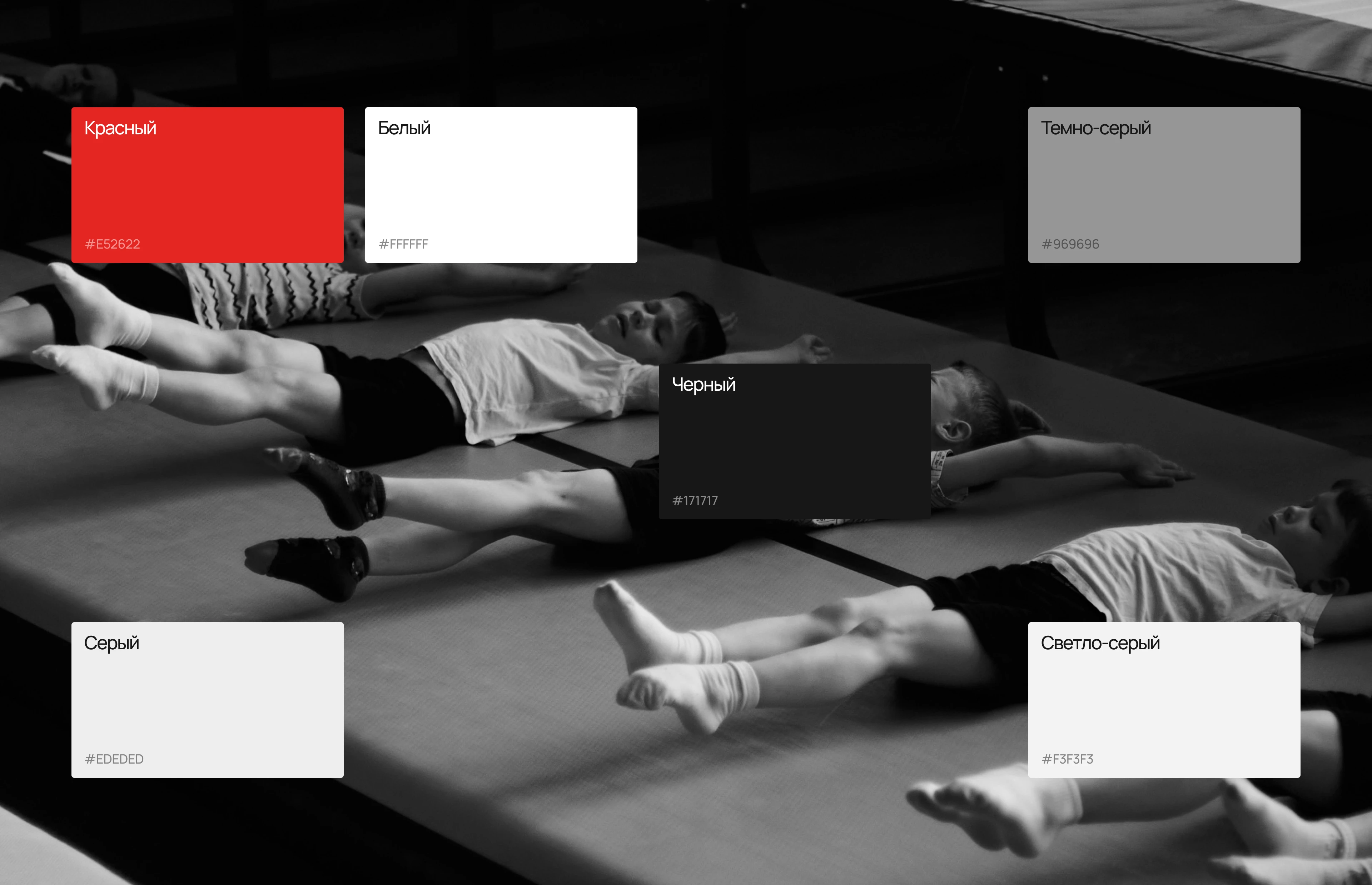 White Fox Acrobatic School — Изображение №4 — Интерфейсы, Брендинг на Dprofile