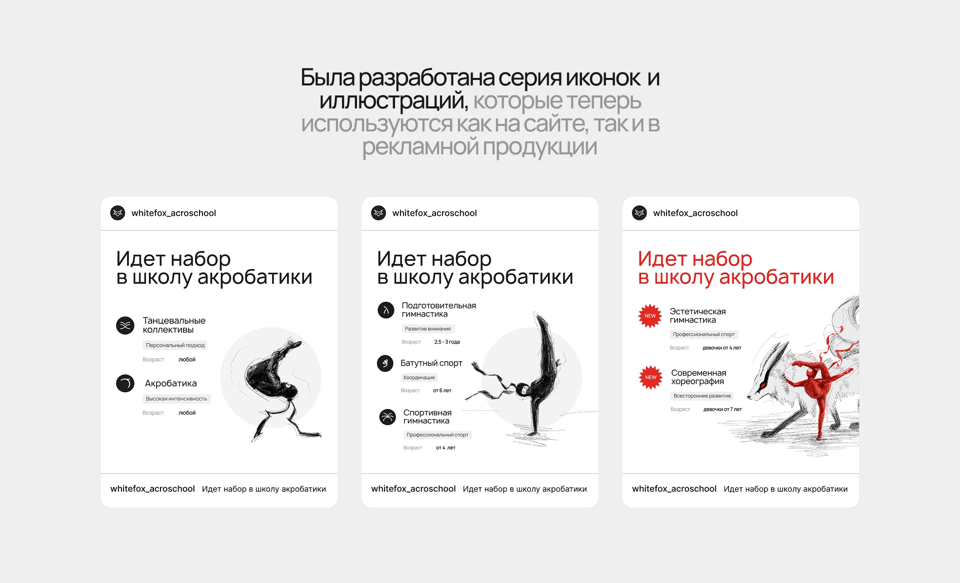 White Fox Acrobatic School — Изображение №7 — Интерфейсы, Брендинг на Dprofile