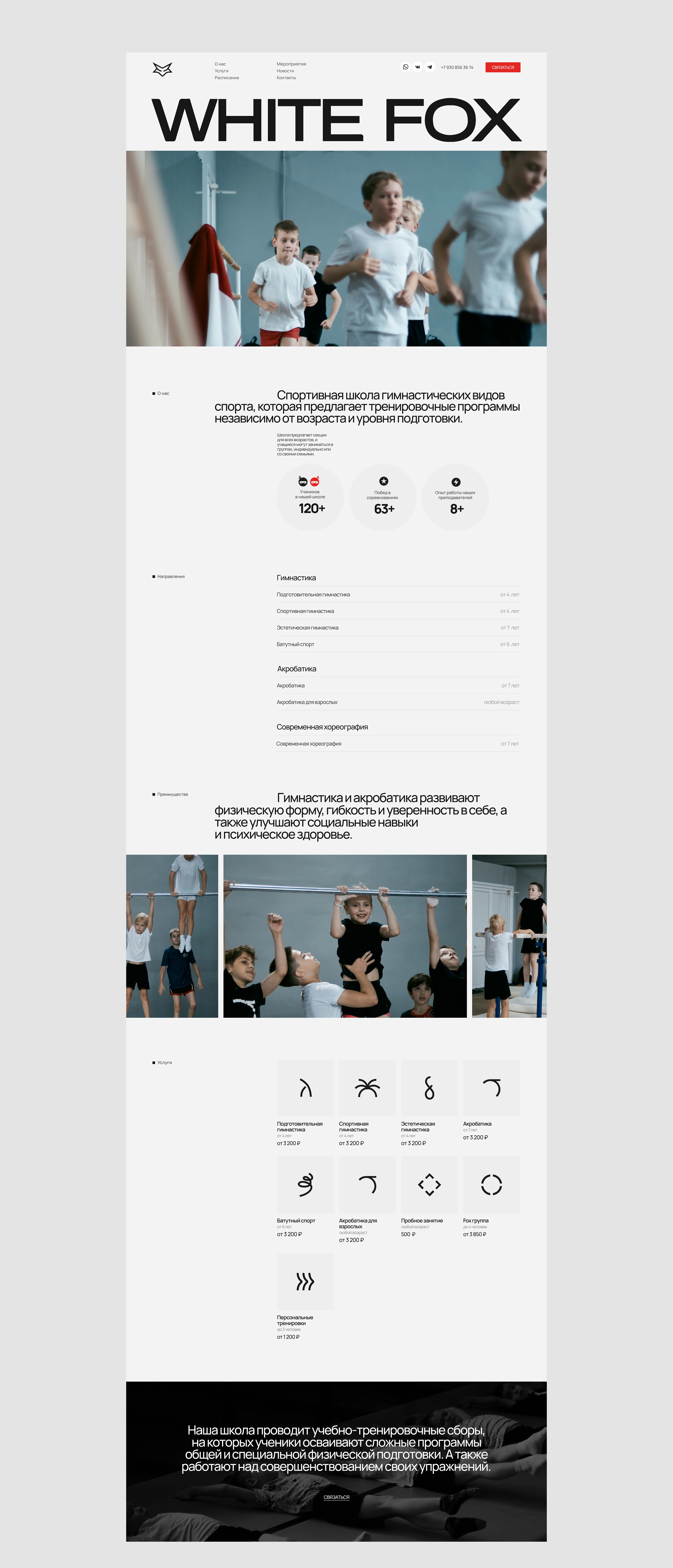 White Fox Acrobatic School — Изображение №5 — Интерфейсы, Брендинг на Dprofile