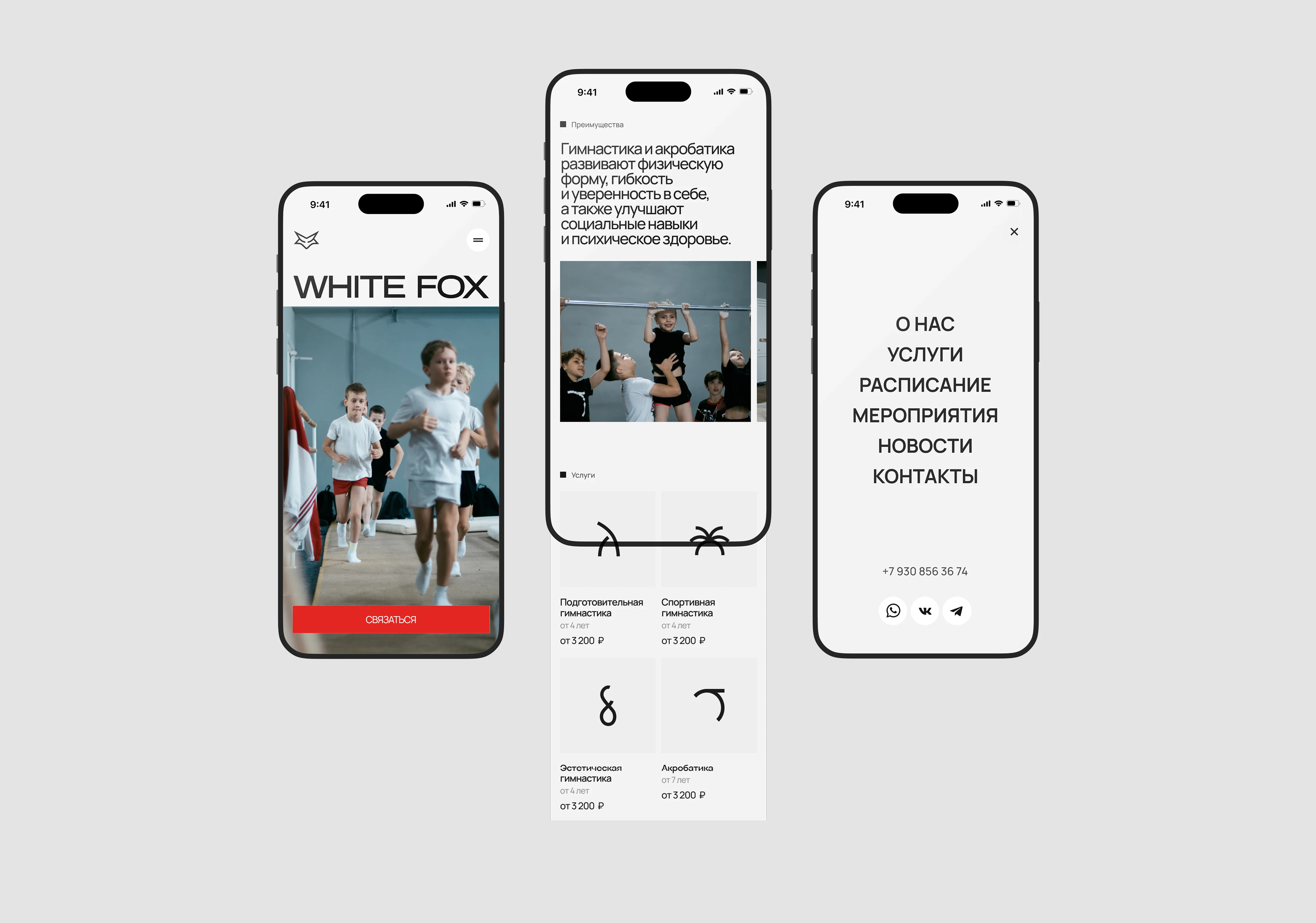 White Fox Acrobatic School — Изображение №6 — Интерфейсы, Брендинг на Dprofile