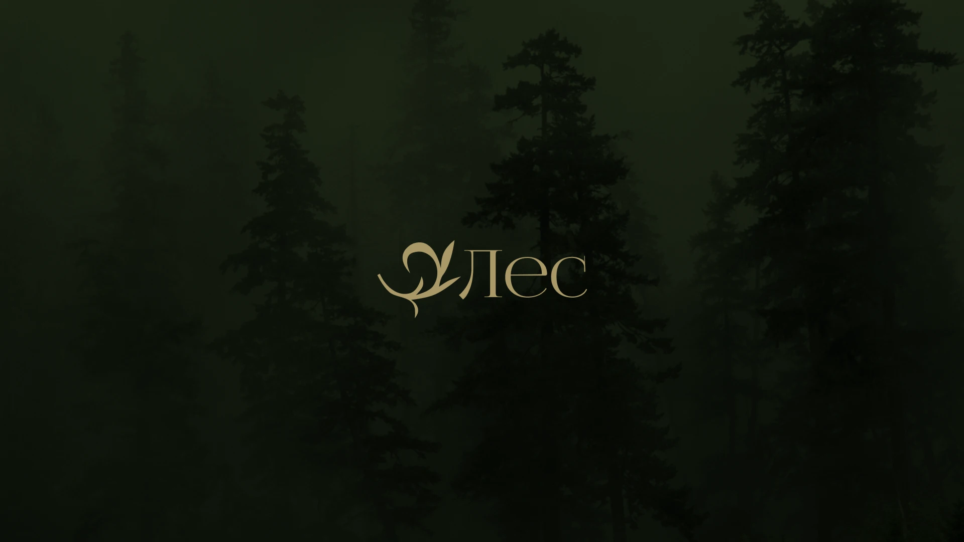 Лес - Разработка фирменного стиля — Изображение №2 — Брендинг на Dprofile