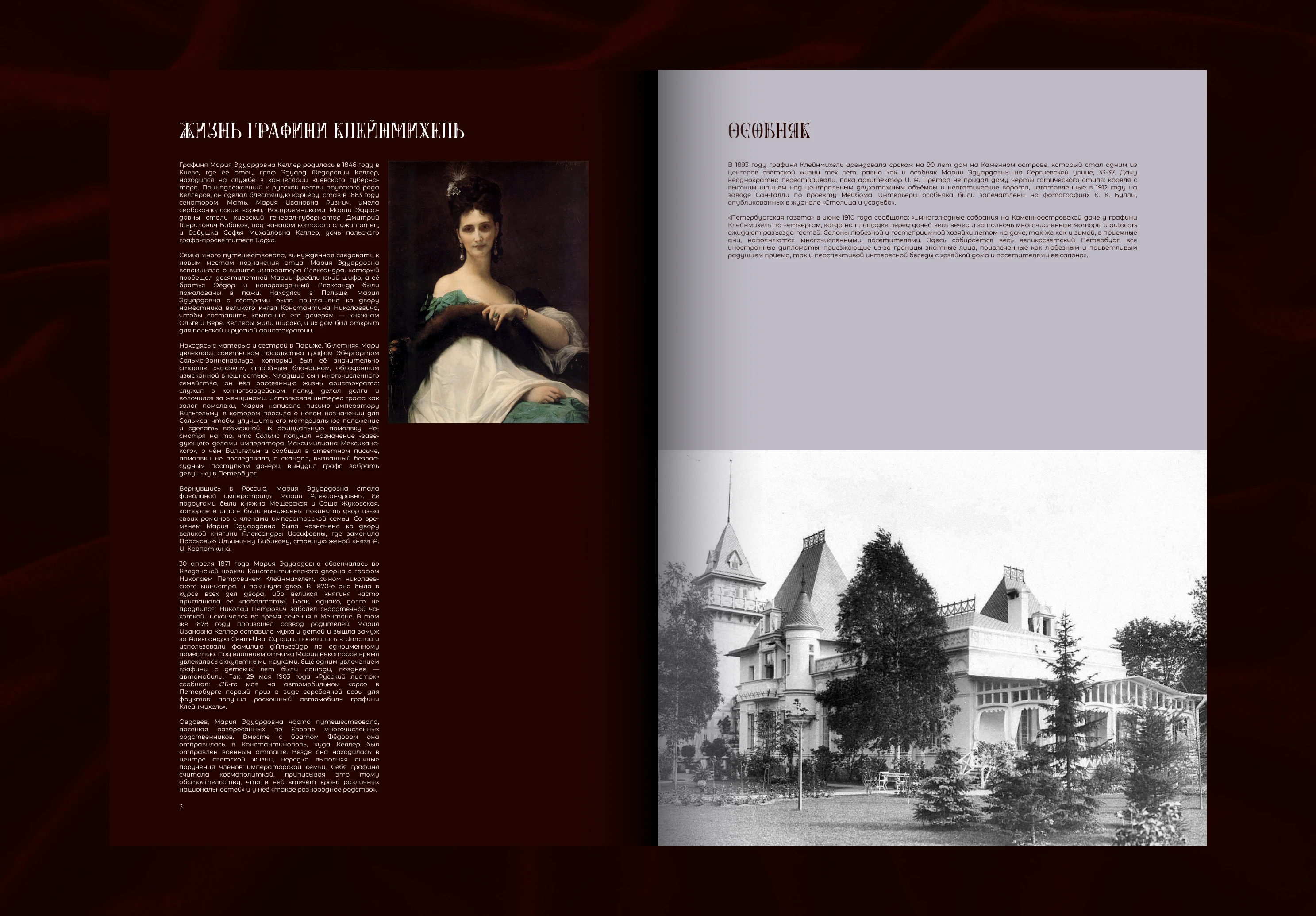 Особняк Клейнмихель - Zine — Изображение №6 — Графика на Dprofile