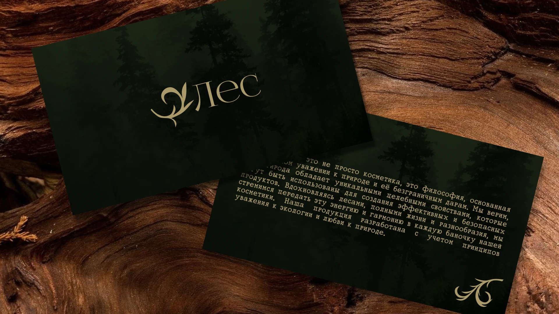 Лес - Разработка фирменного стиля — Изображение №6 — Брендинг на Dprofile