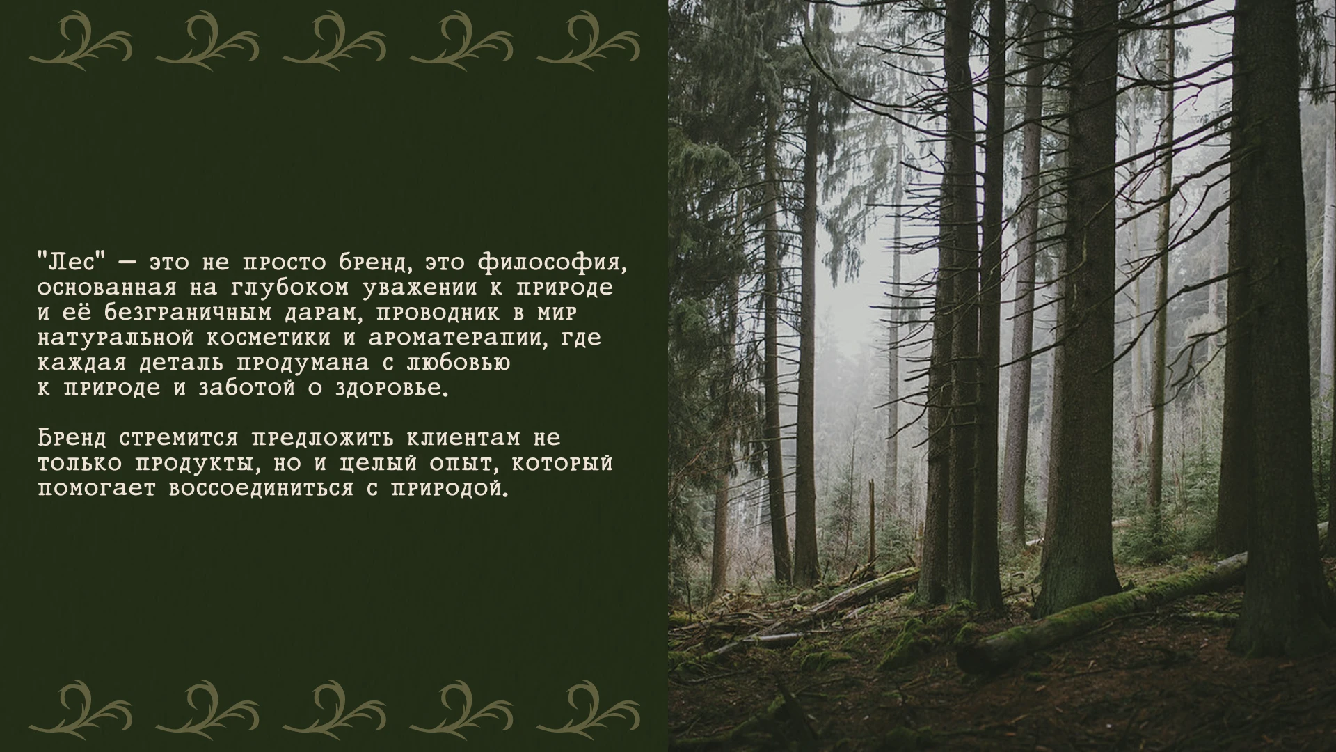 Лес - Разработка фирменного стиля — Изображение №3 — Брендинг на Dprofile