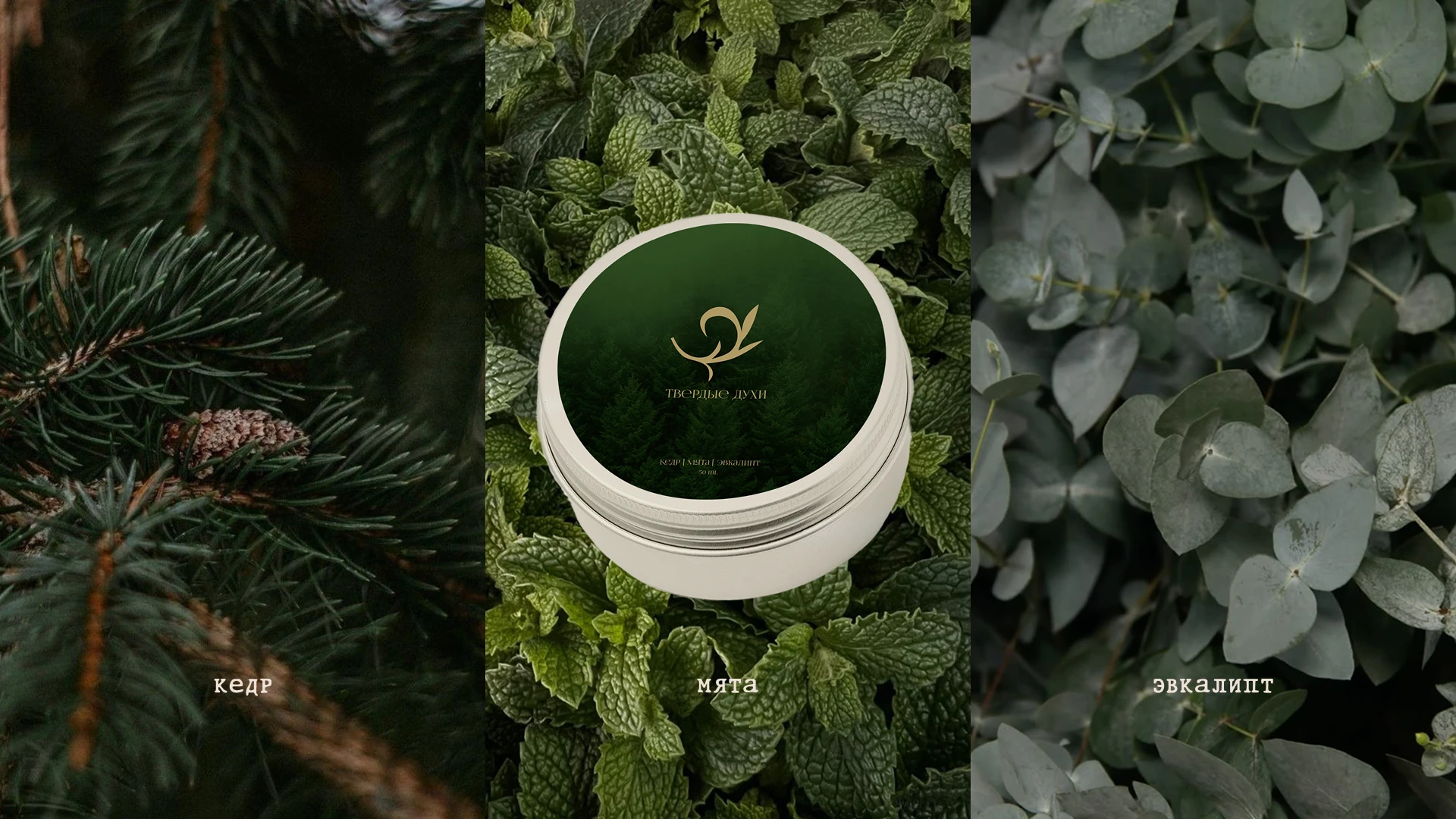 Лес - Разработка фирменного стиля — Изображение №8 — Брендинг на Dprofile