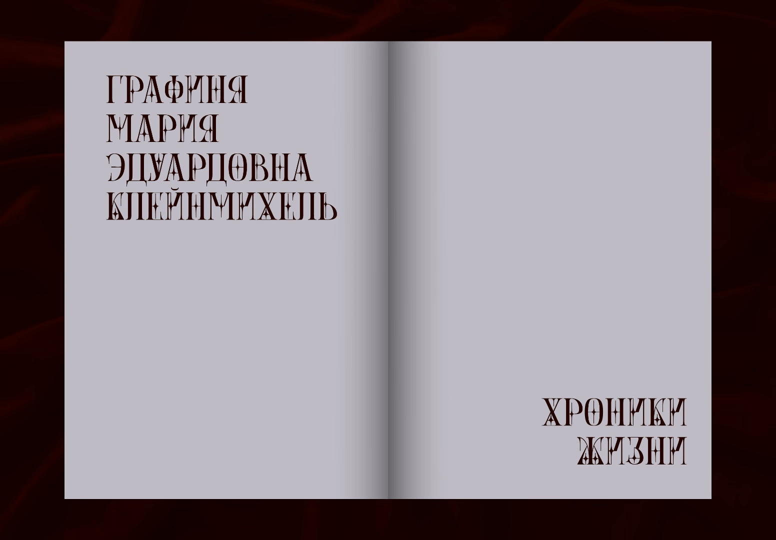 Особняк Клейнмихель - Zine — Изображение №4 — Графика на Dprofile