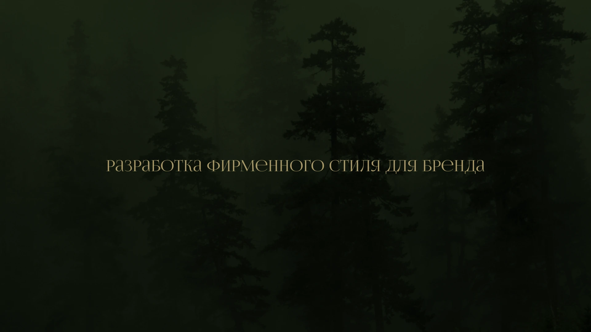 Лес - Разработка фирменного стиля — Изображение №1 — Брендинг на Dprofile