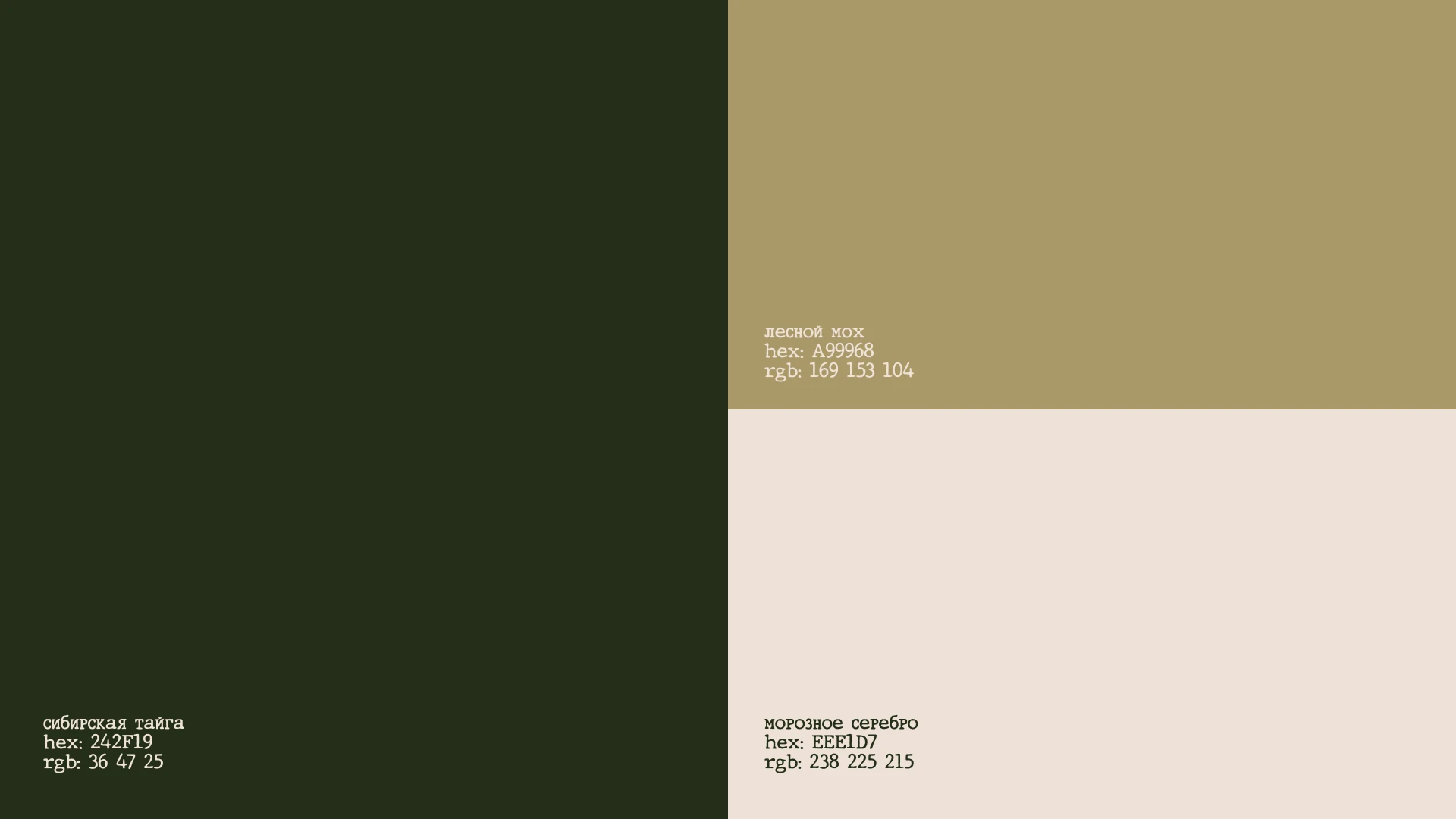 Лес - Разработка фирменного стиля — Изображение №4 — Брендинг на Dprofile