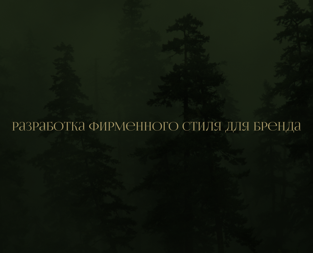 Лес - Разработка фирменного стиля — Брендинг на Dprofile