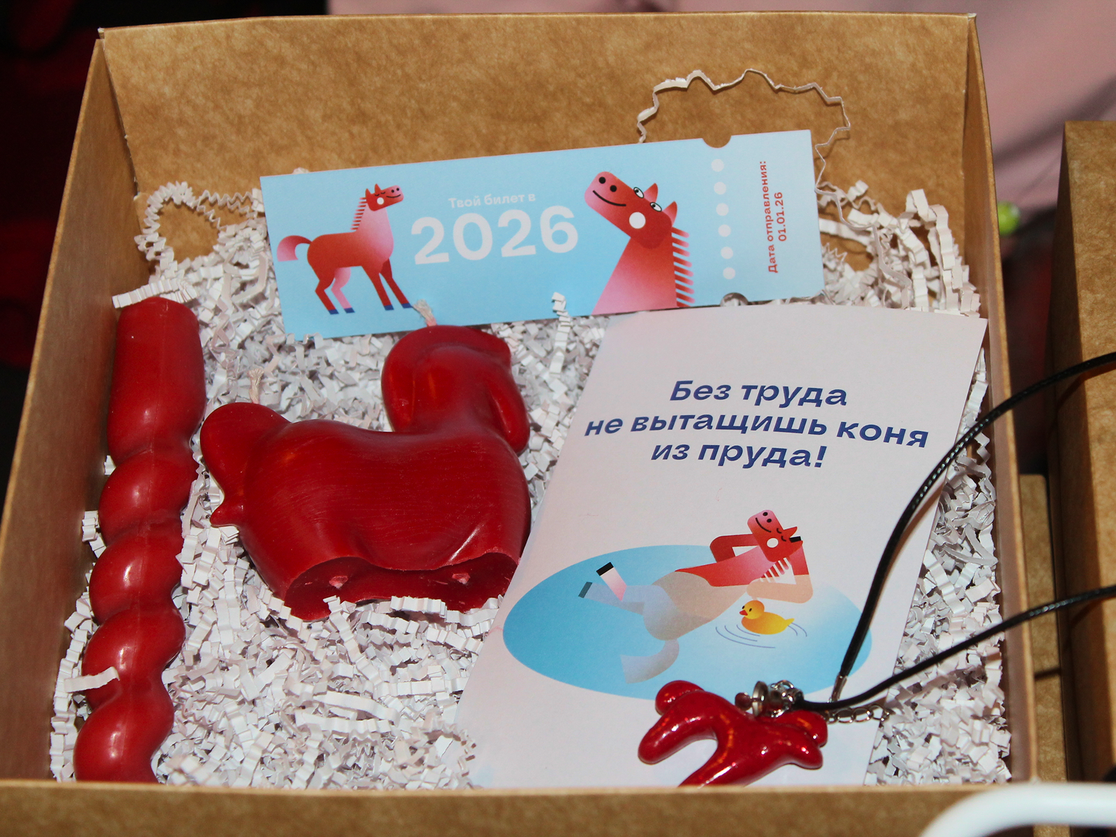 Новогодняя авторская графика 2026 — Изображение №11 — Брендинг, Графика на Dprofile