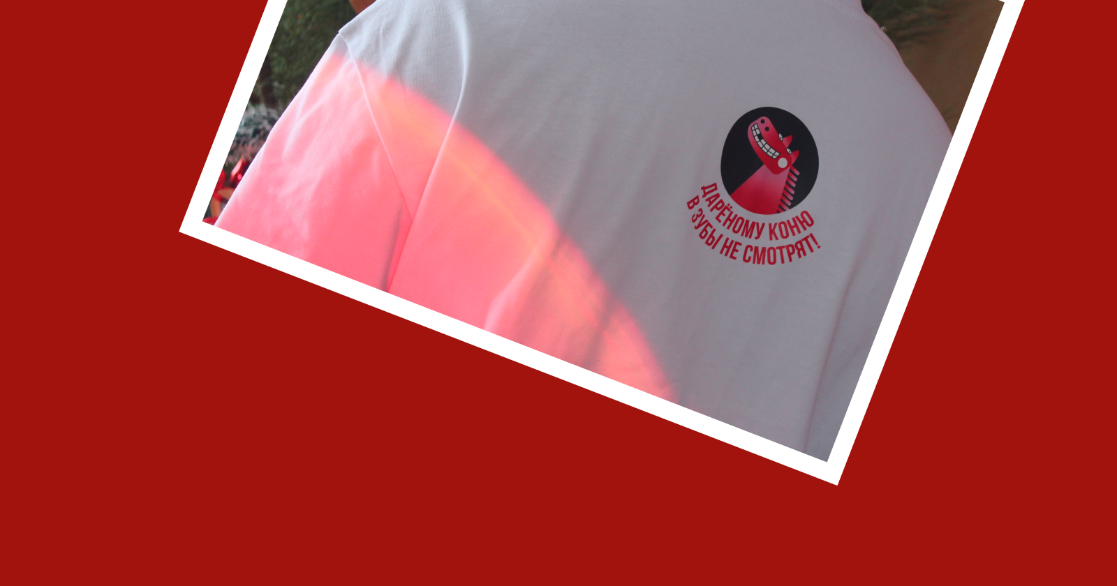 Новогодняя авторская графика 2026 — Изображение №9 — Брендинг, Графика на Dprofile