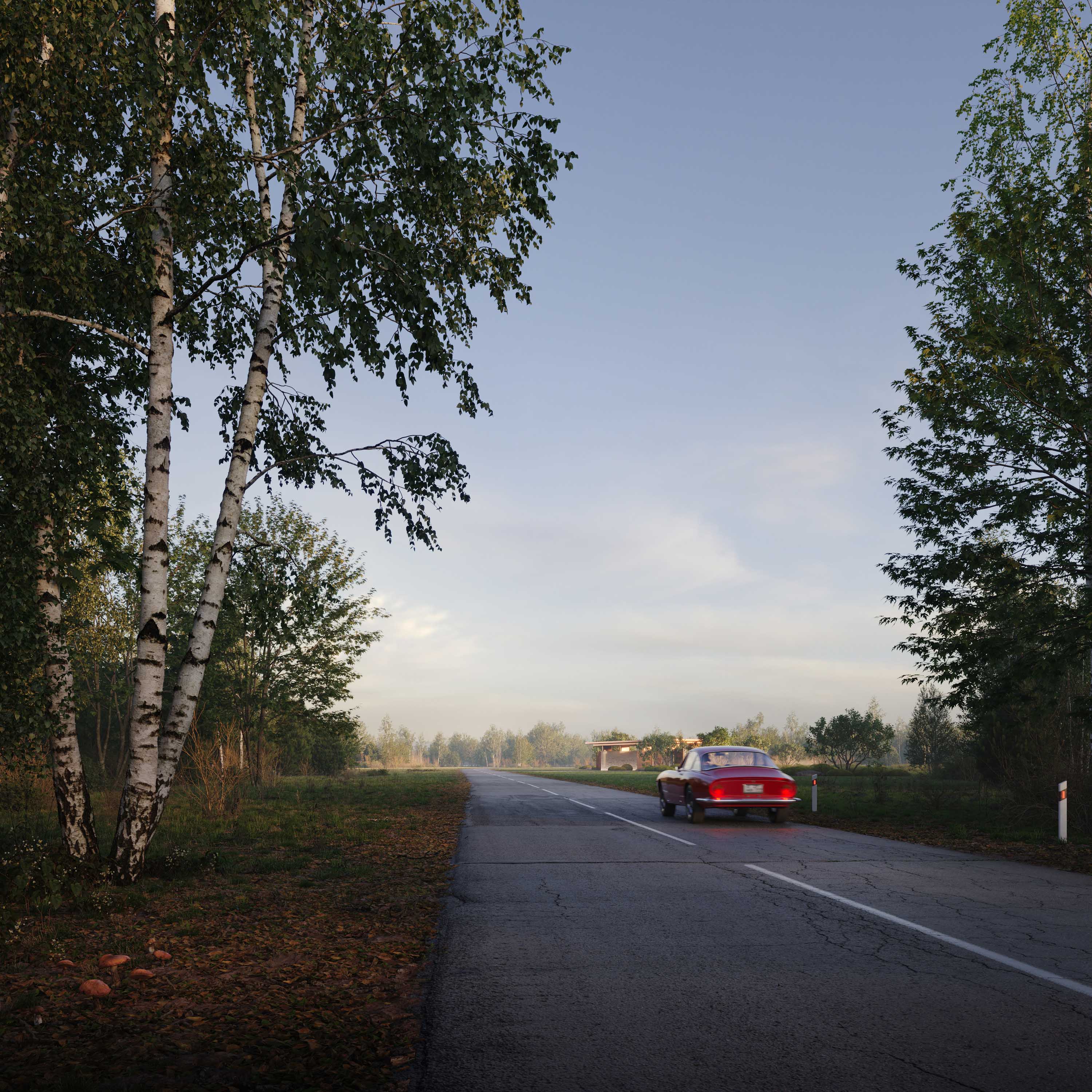 Резиденция Serene Lake, 1 800 м² — Изображение №3 — Архитектура на Dprofile