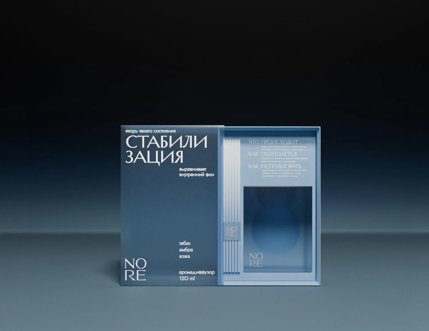 NORE|Упаковка аромадиффузоров — Изображение №11 — Брендинг, 3D на Dprofile
