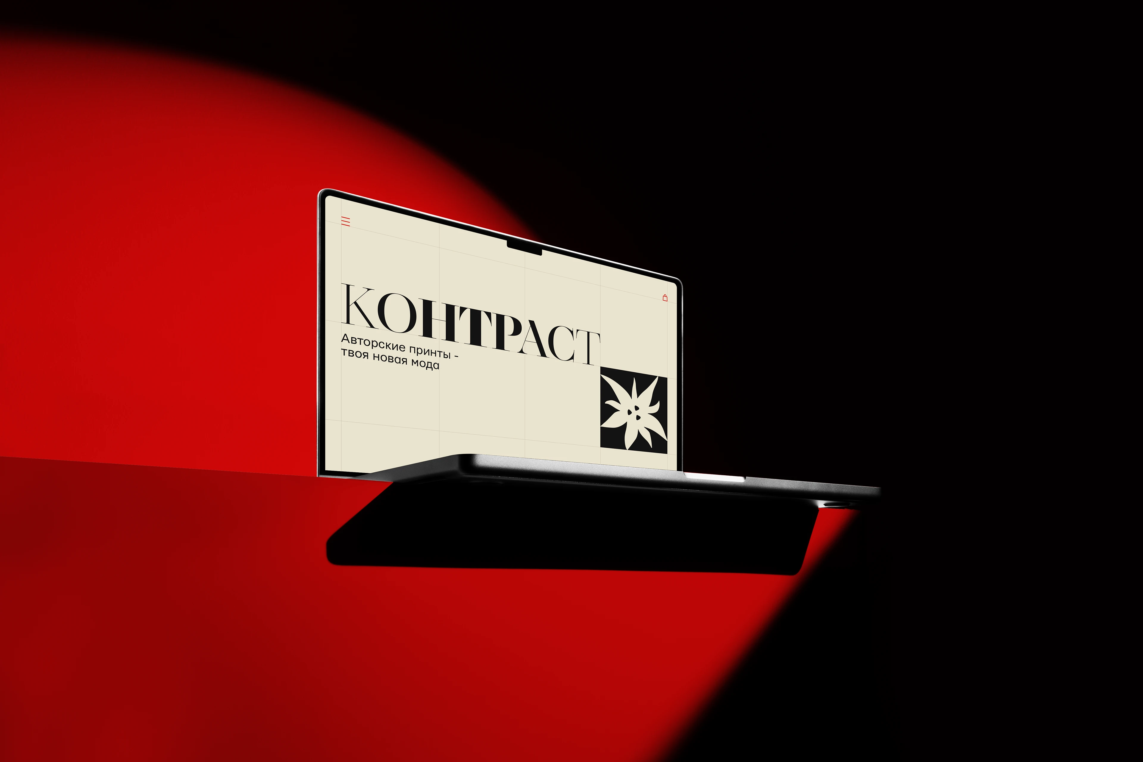 Магазин принтов "Контраст" — Изображение №6 — Брендинг, Графика на Dprofile