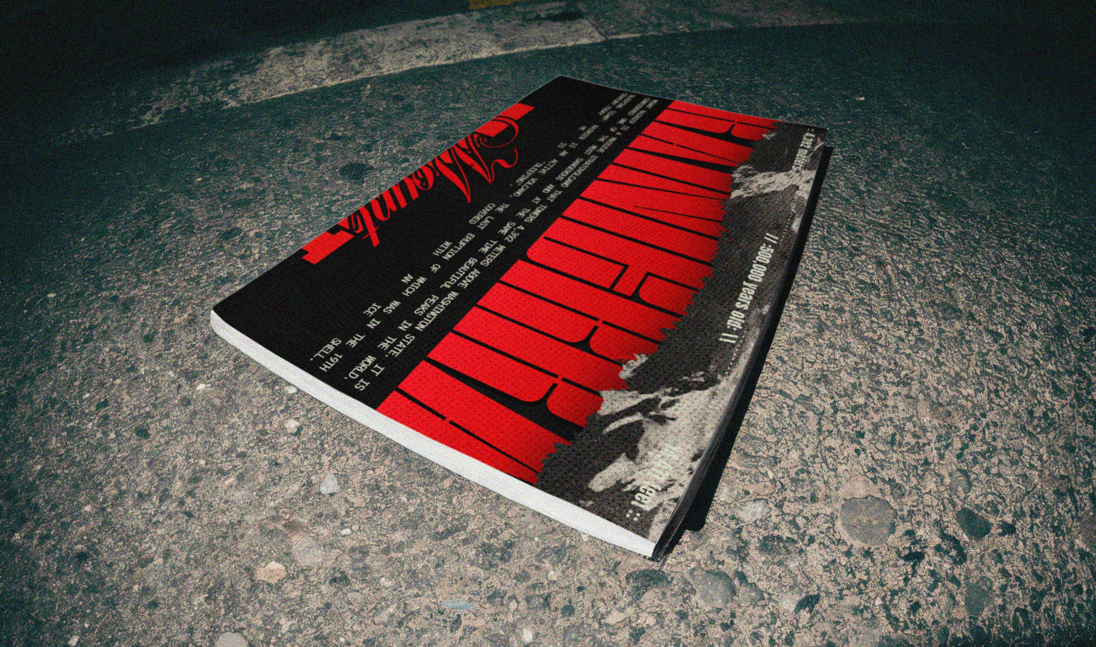 Музыкальный альбом / Винил — Изображение №12 — Брендинг, Графика на Dprofile